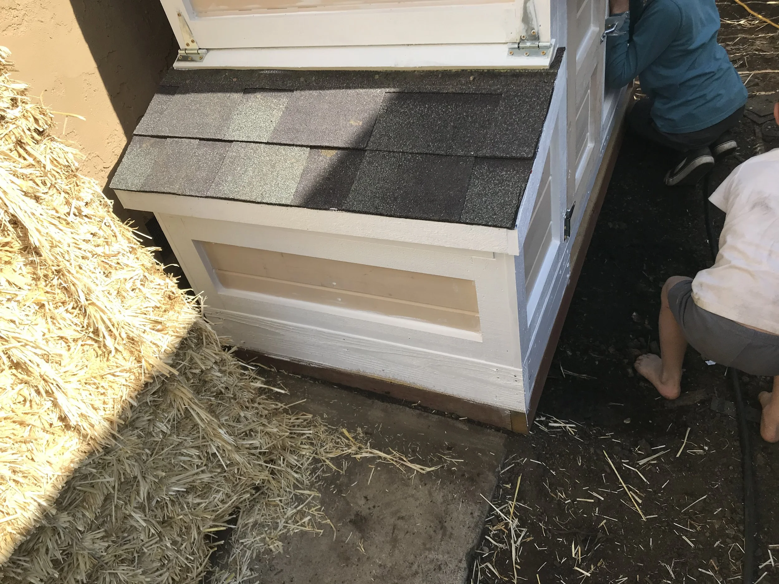 Custom Chicken Coup Build 
