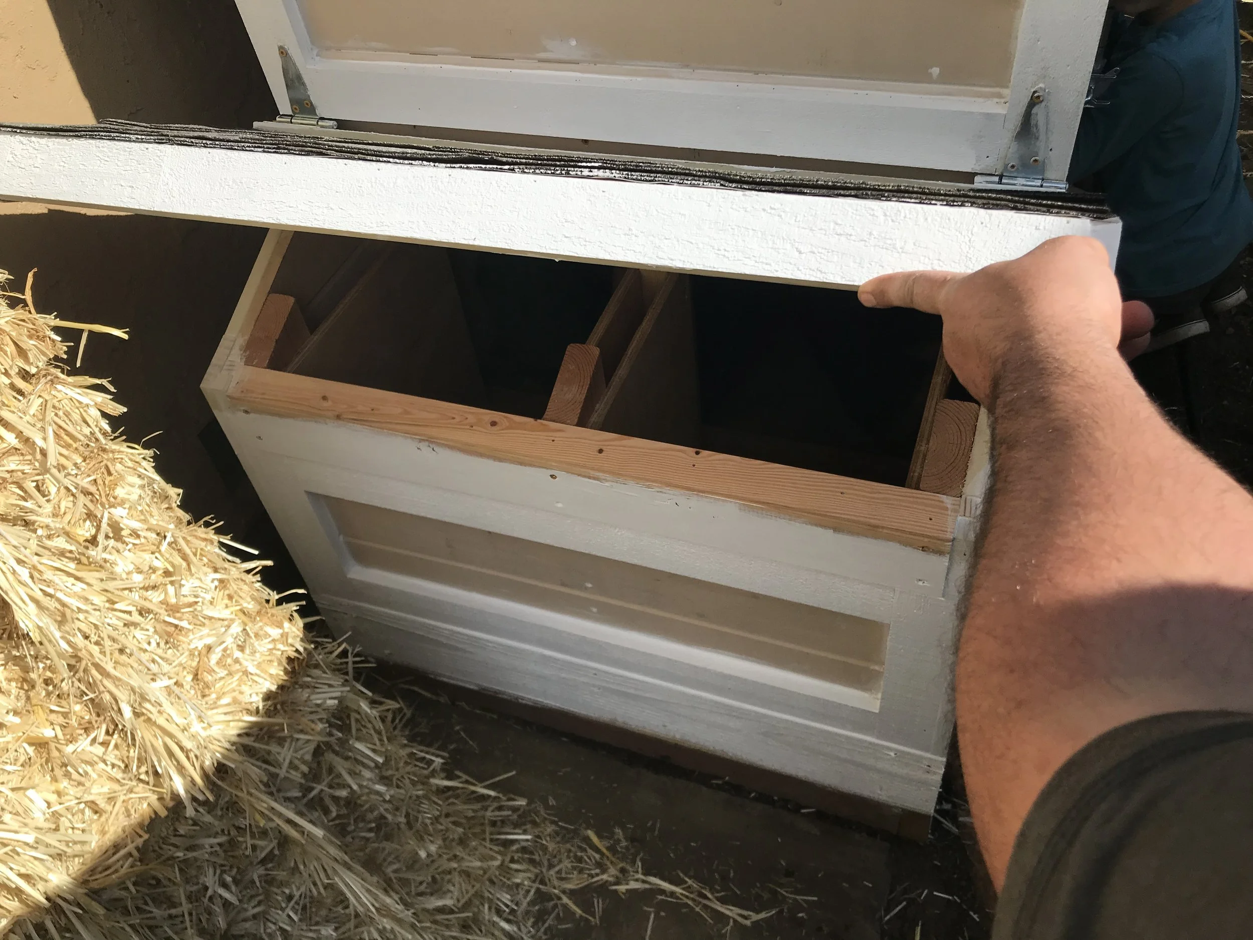 Custom Chicken Coup Build