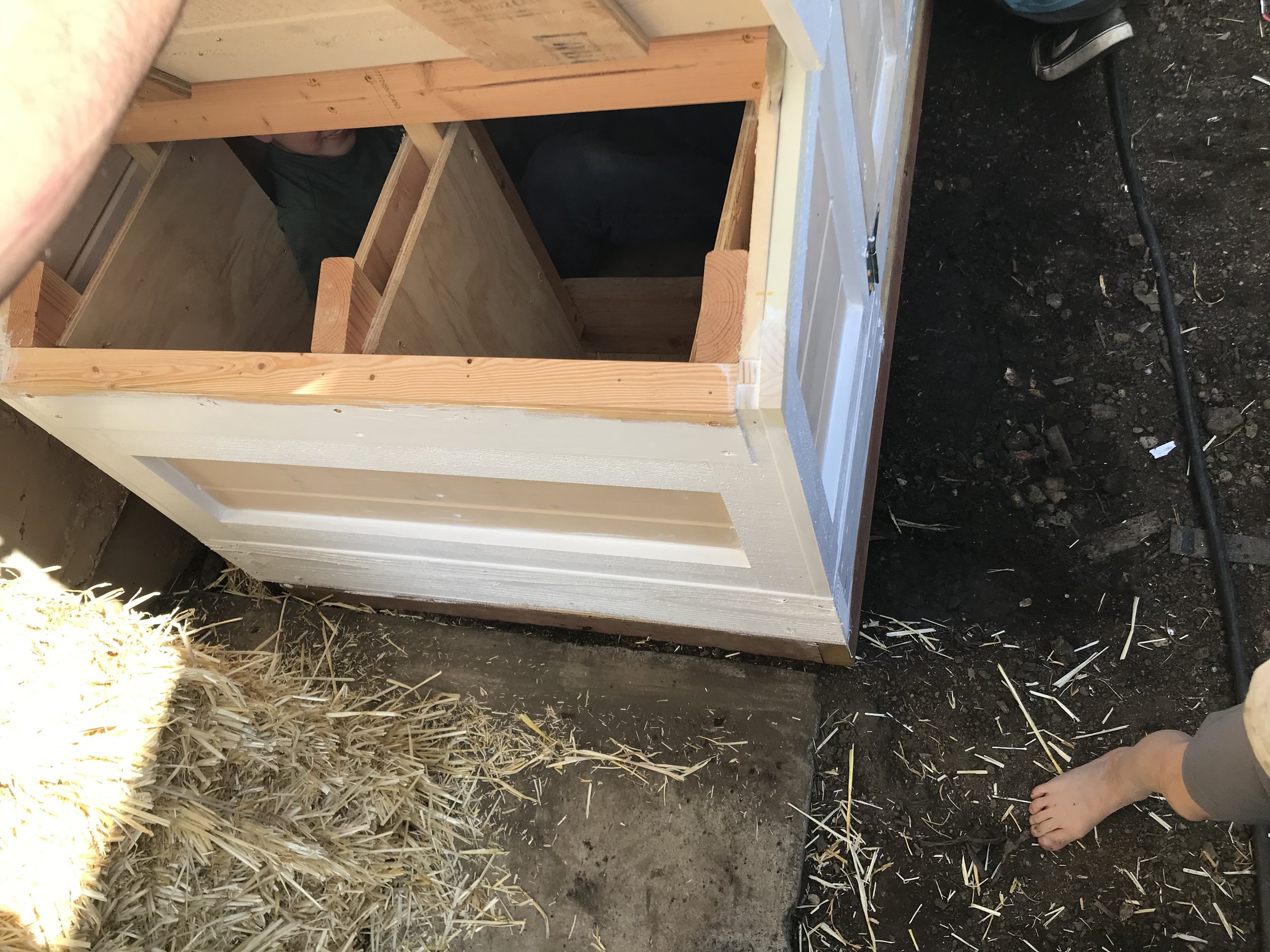 Custom Chicken Coup Build