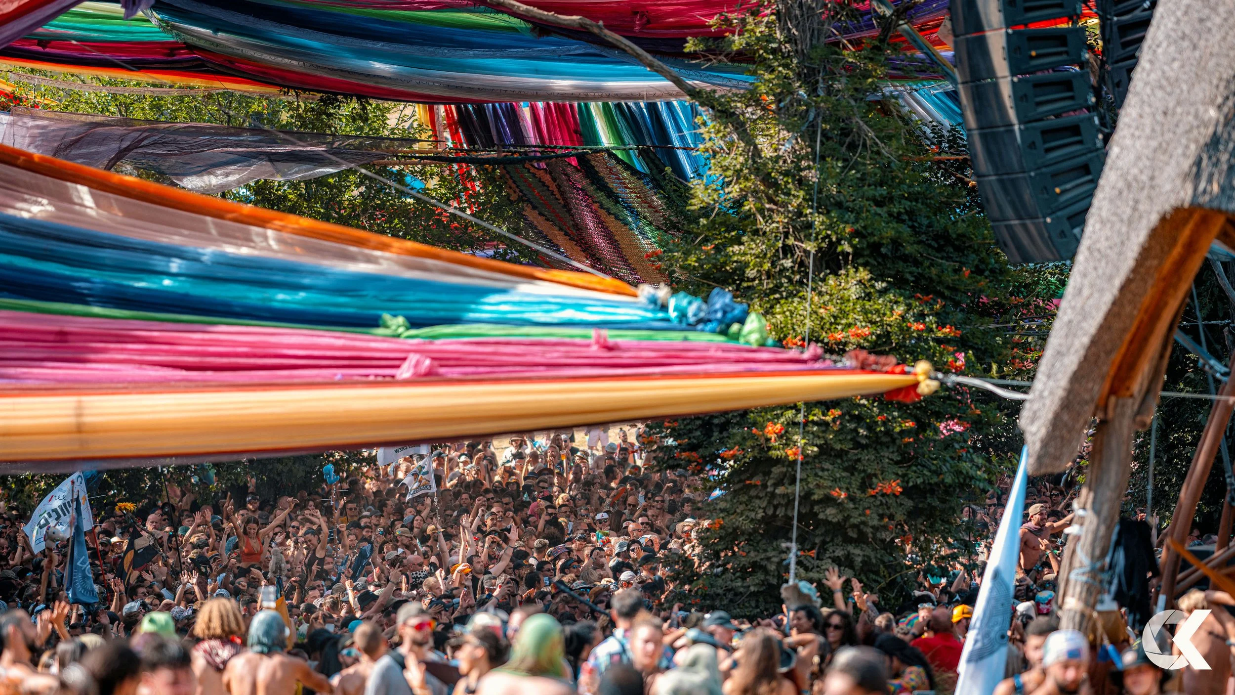 A large crowd gathered at an outdoor music festival with colorful decorations overhead and trees in the background.
