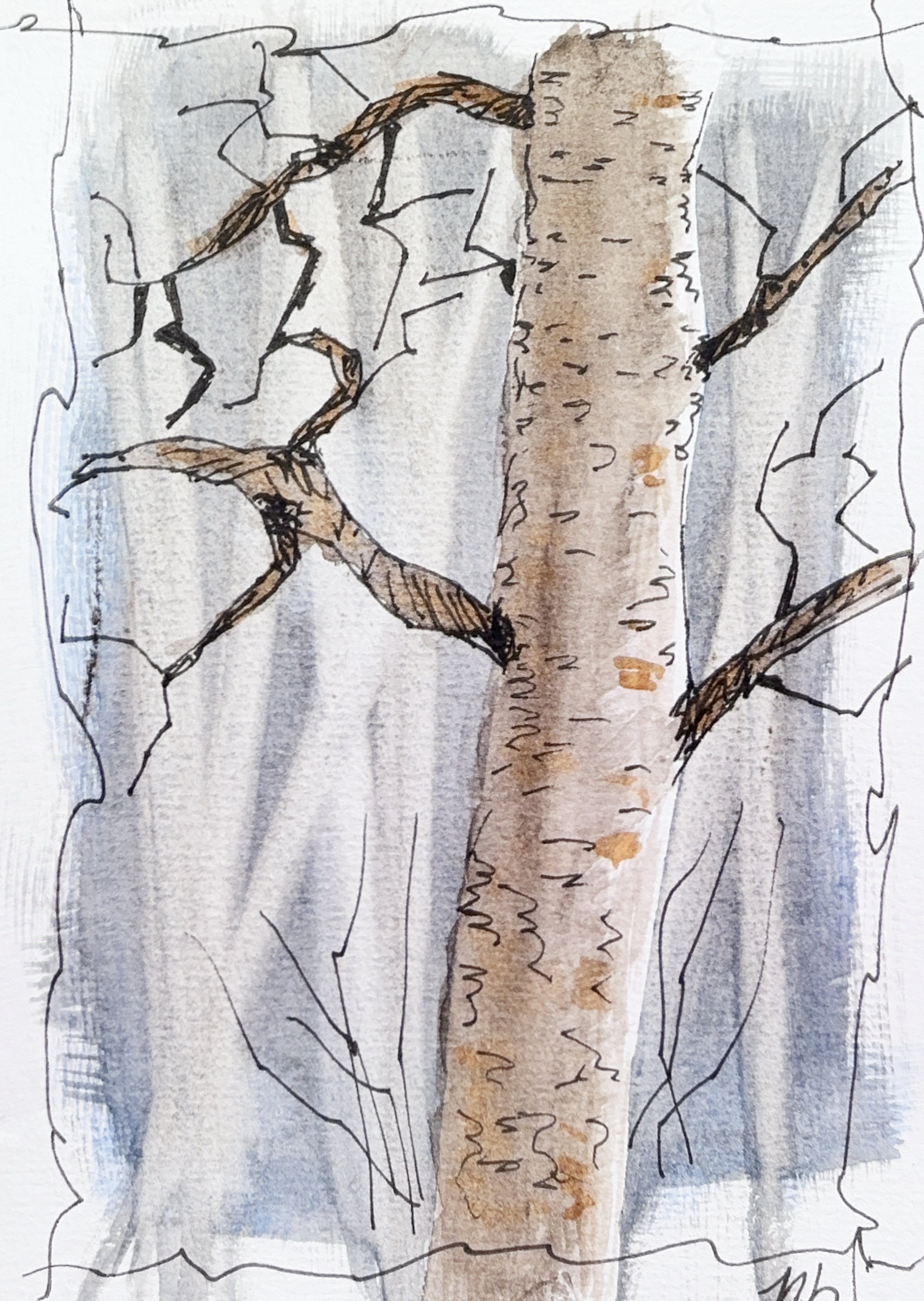 Beau bouleau - 10 1/2 X 14 1/2 cm - 15 $