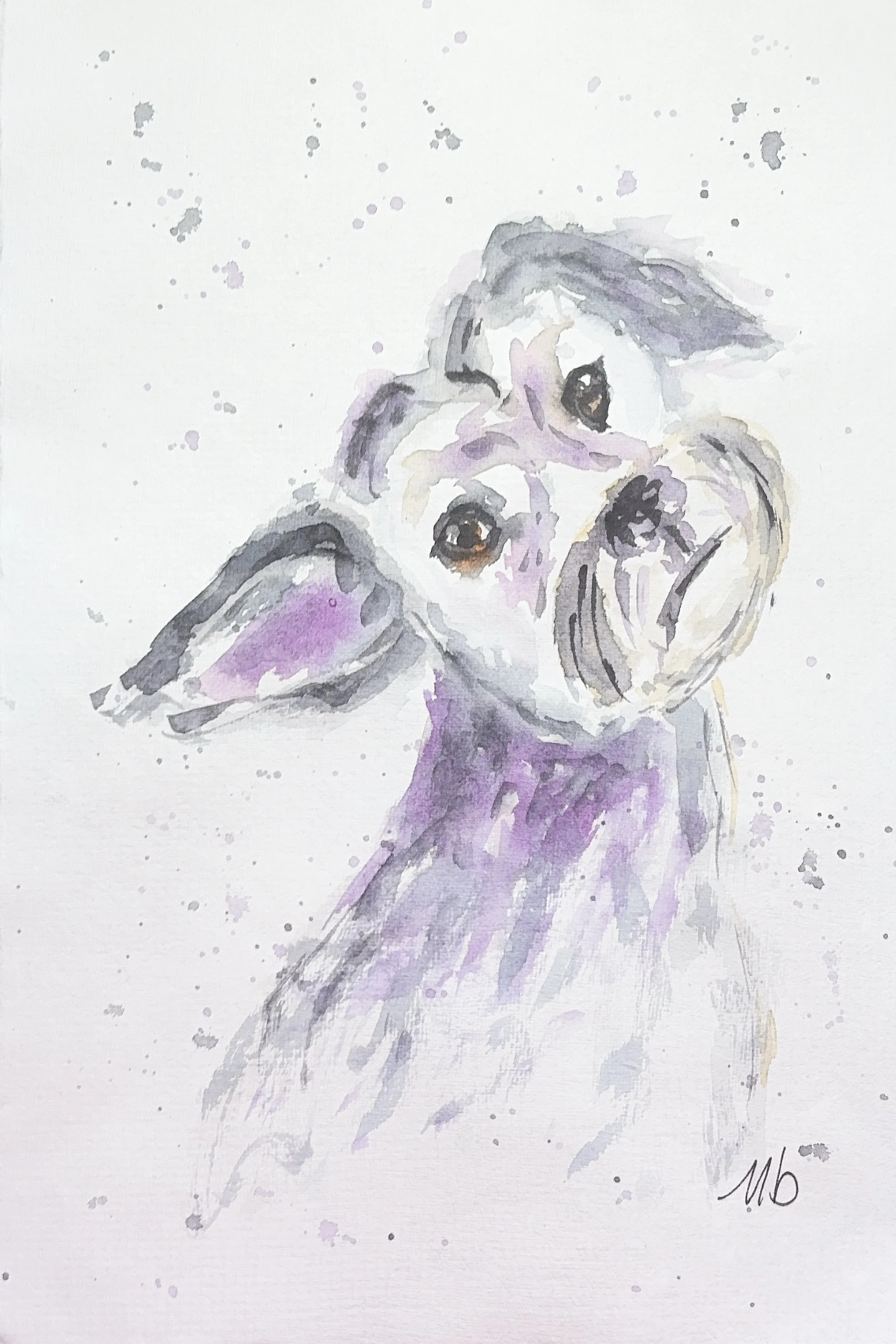 Schnauzer - 19 X 29 cm - 55 $