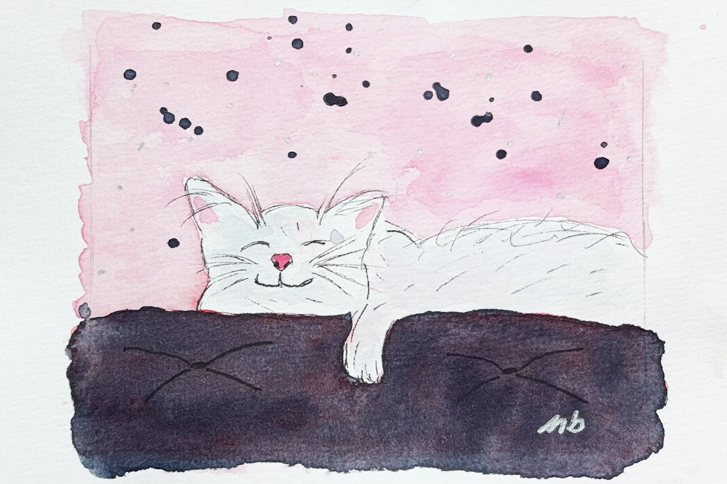 Pacha le chat - 10 X 14 1/2 cm - 15 $