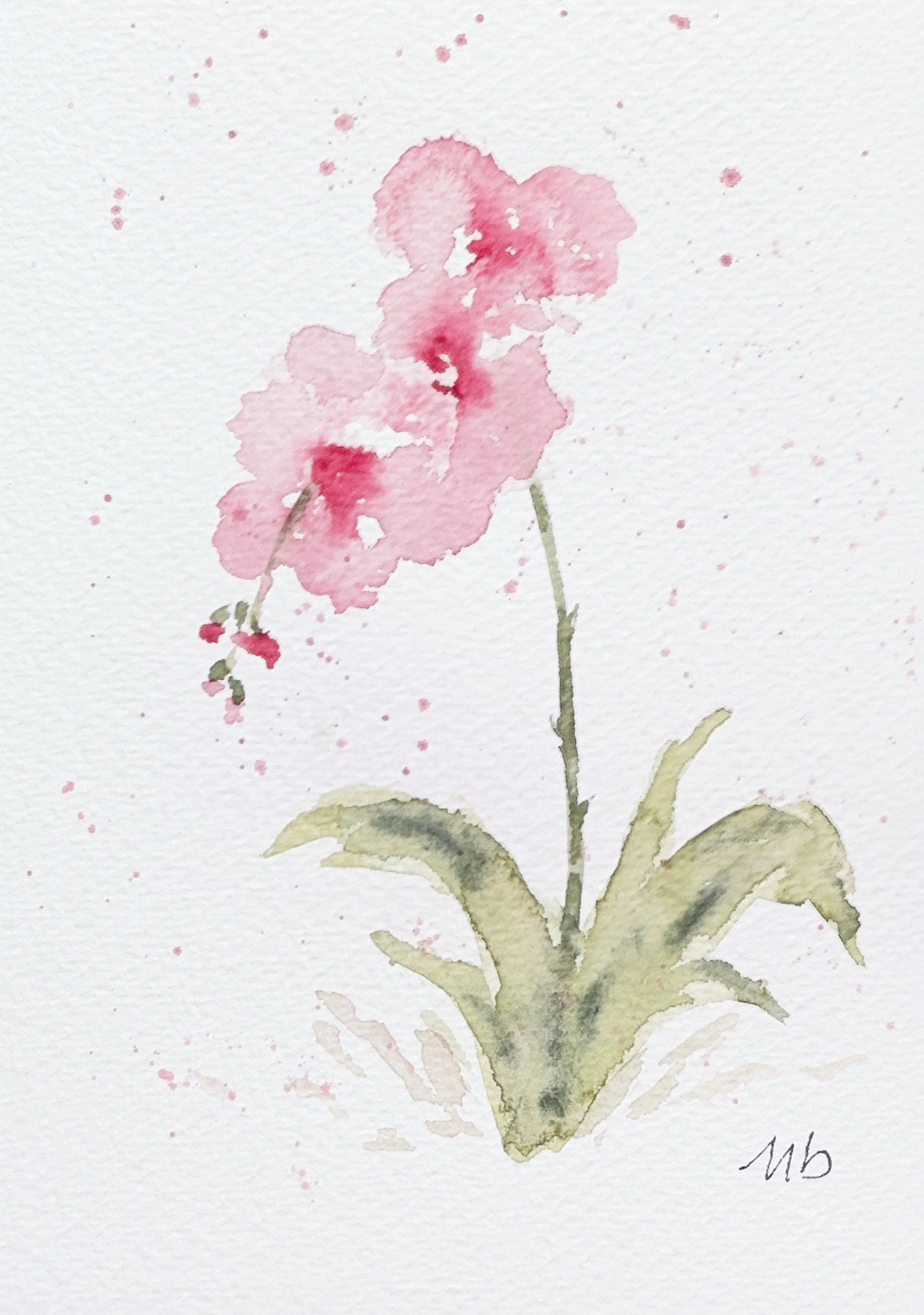 Orchidée - 12 1/2 X 18 cm - 25 $