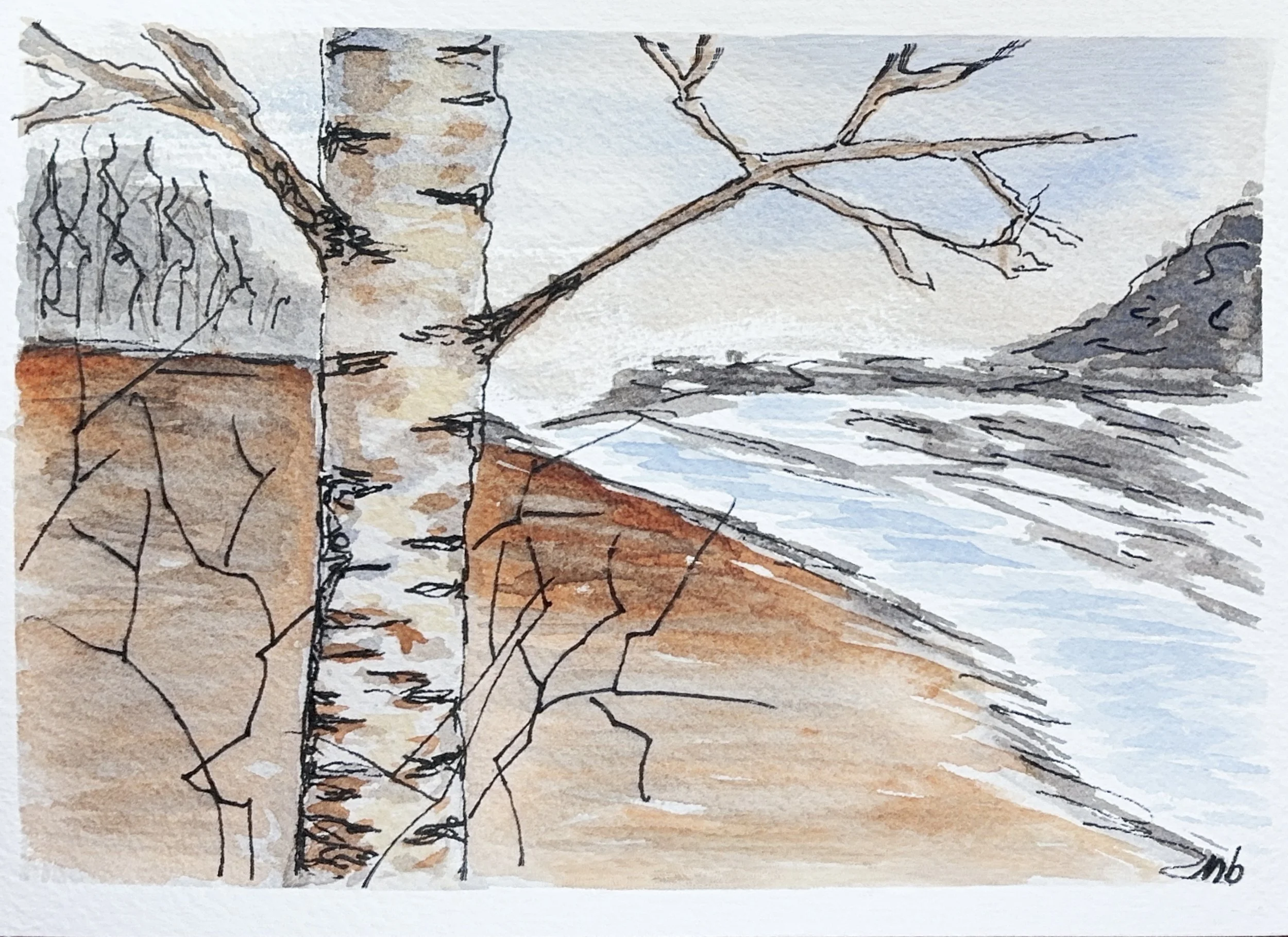 Bouleau solitaire - 12 1/2 X 18 cm - 25 $