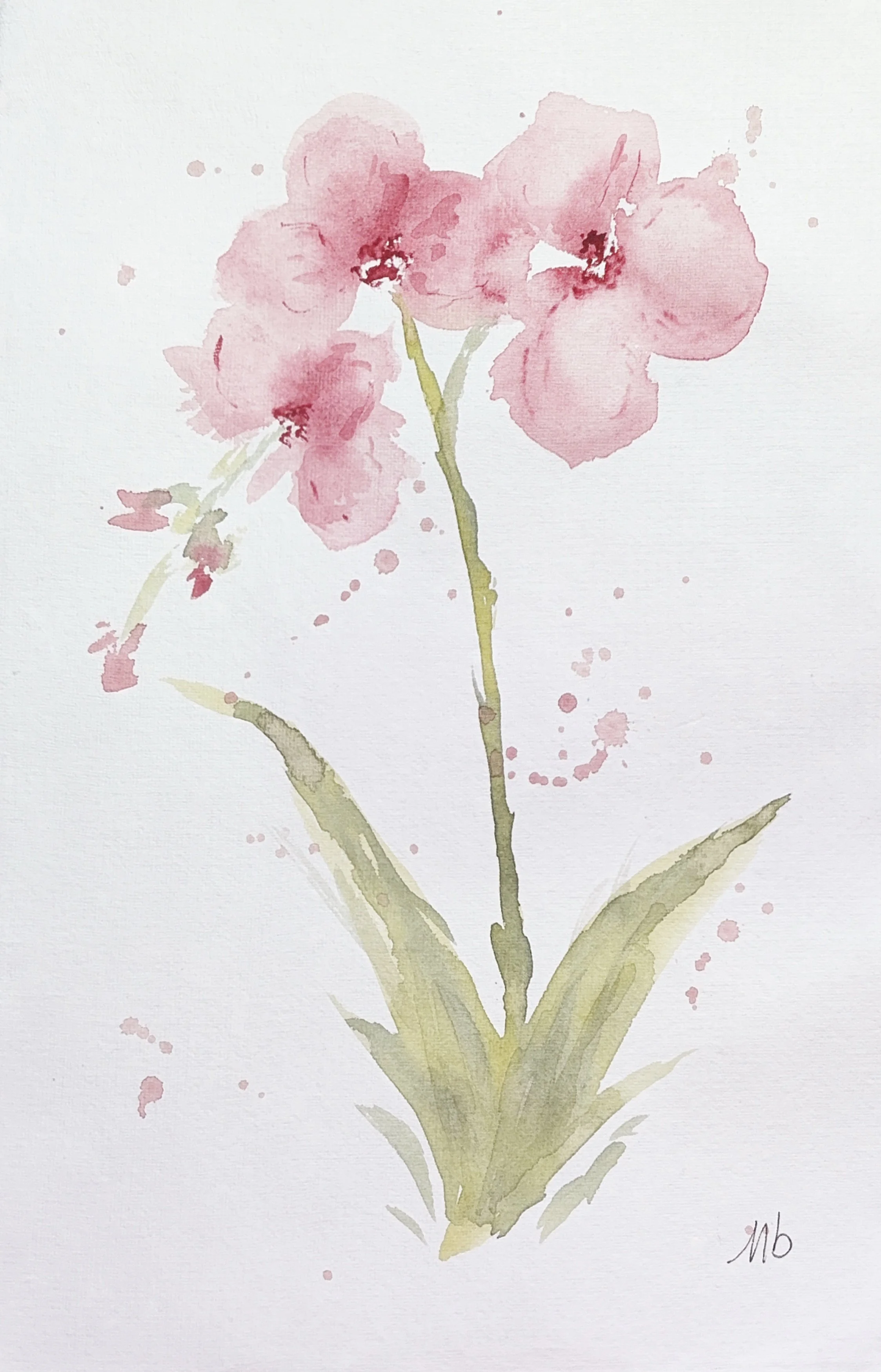 Orchidée - 19 X 29 cm - 55 $