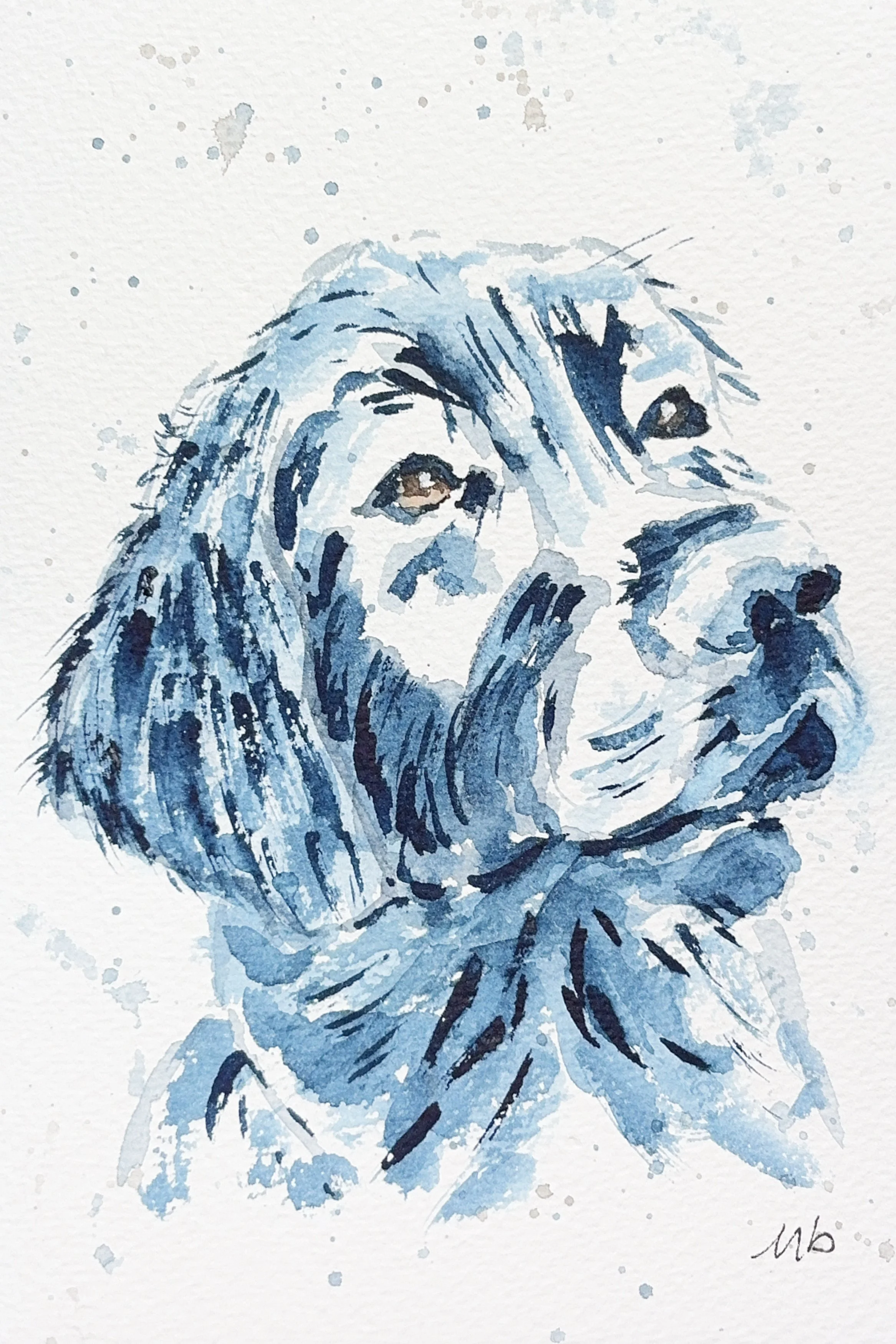 Labrador - 12 1/2 X 18 cm - 25 $