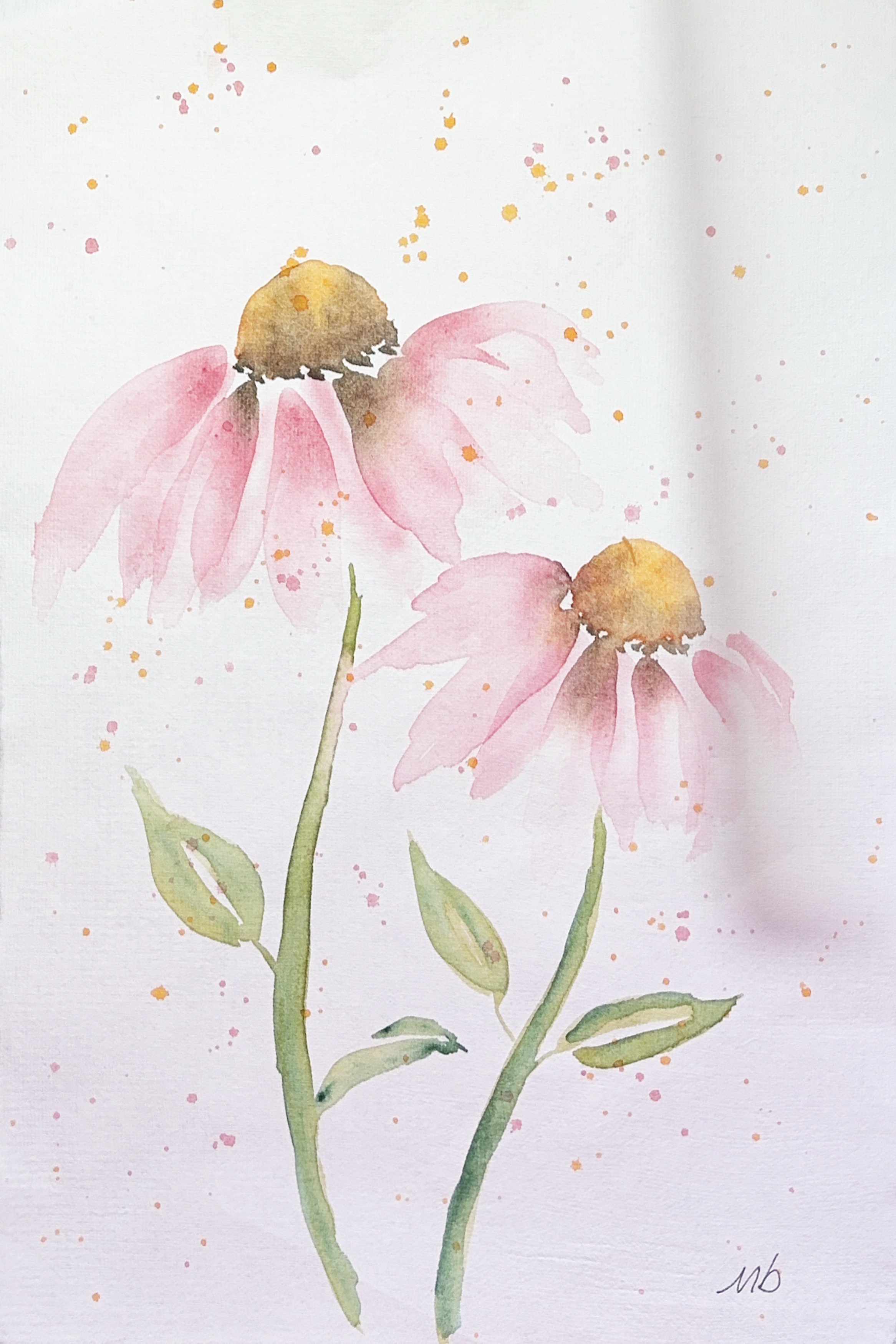 Échinacées - 19 X 29 cm - 55 $