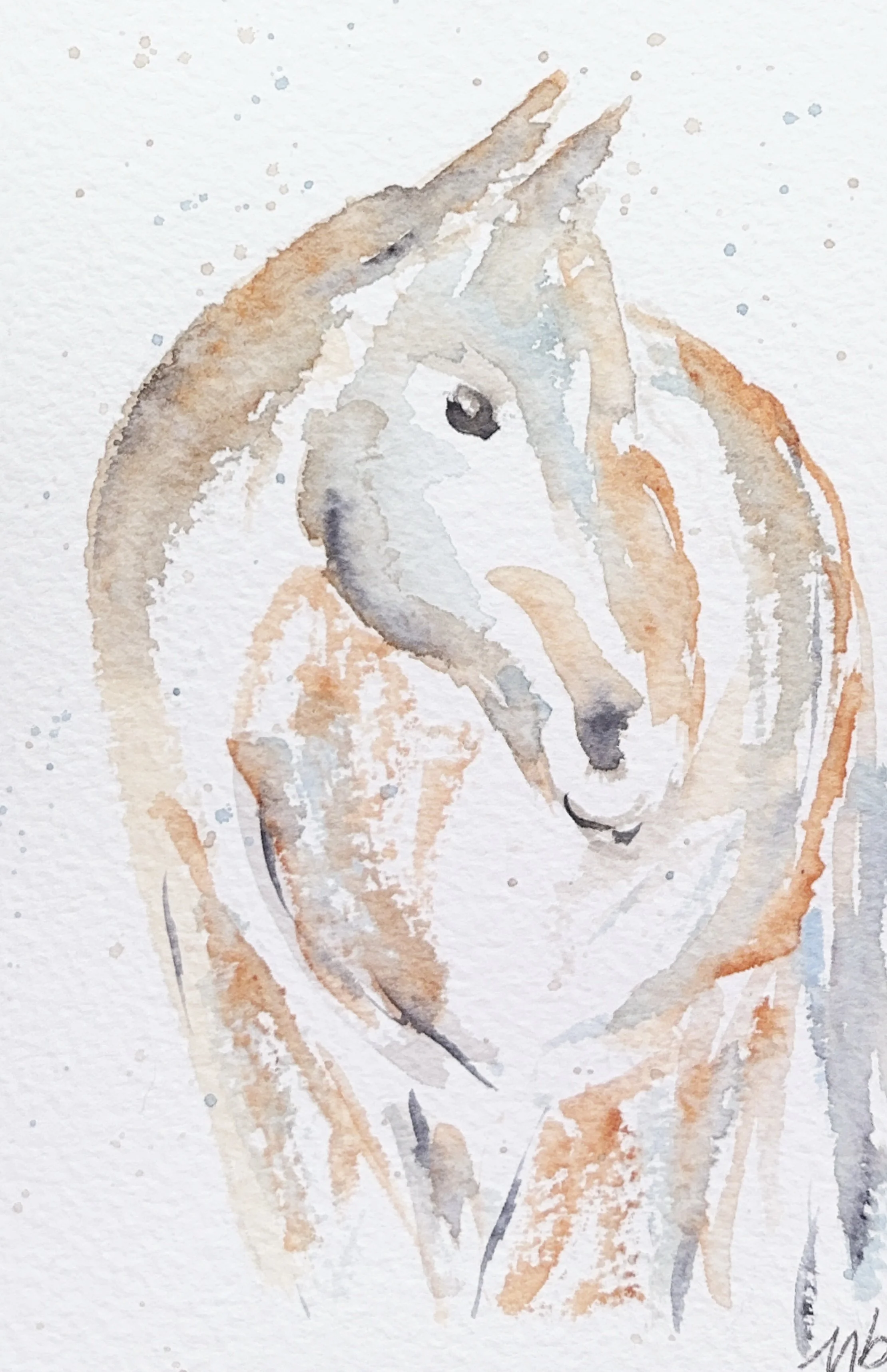 Cheval d'automne - 9 1/2 X 14 1/2 cm - 15 $