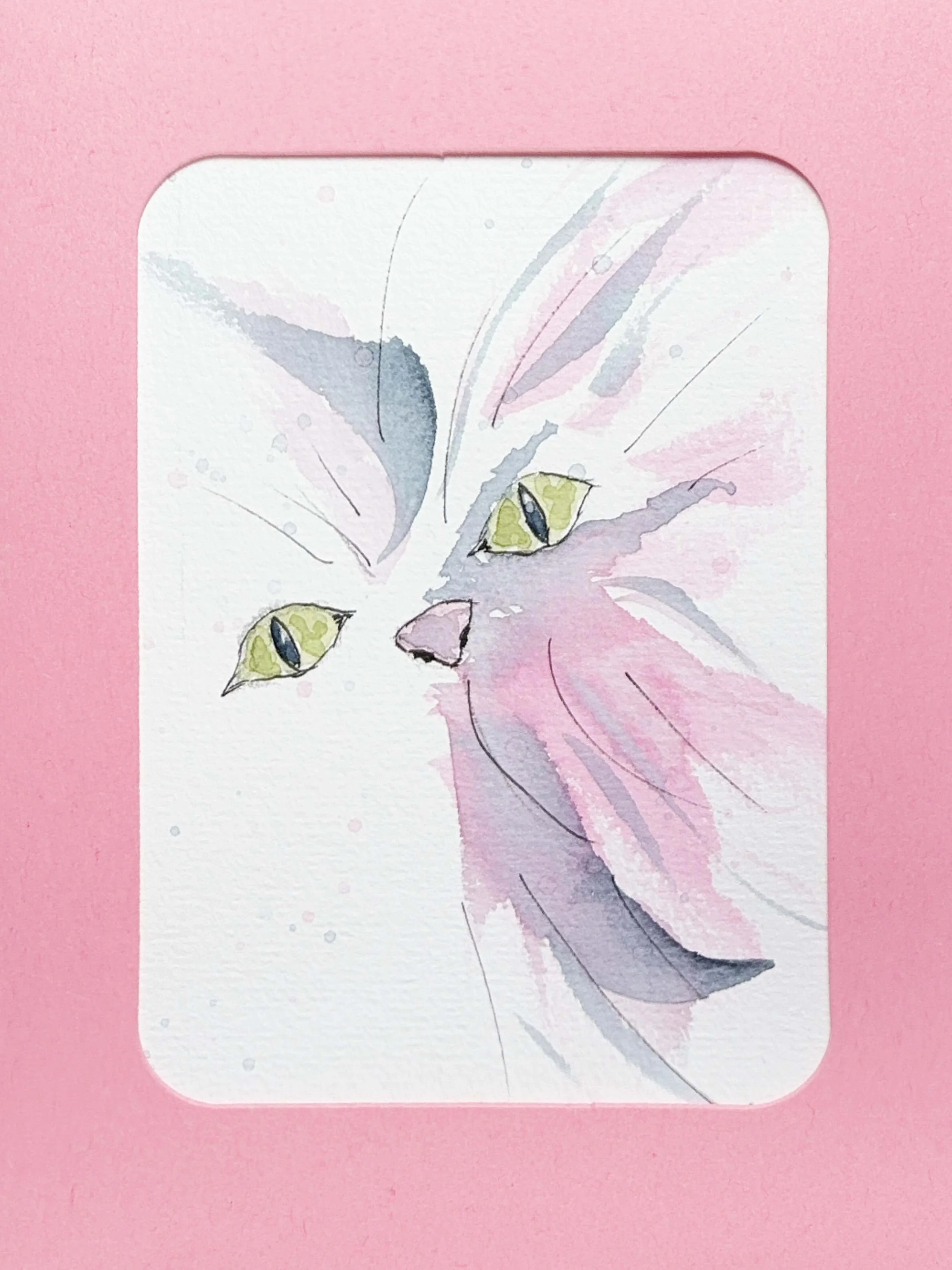 Chat rose aux yeux verts