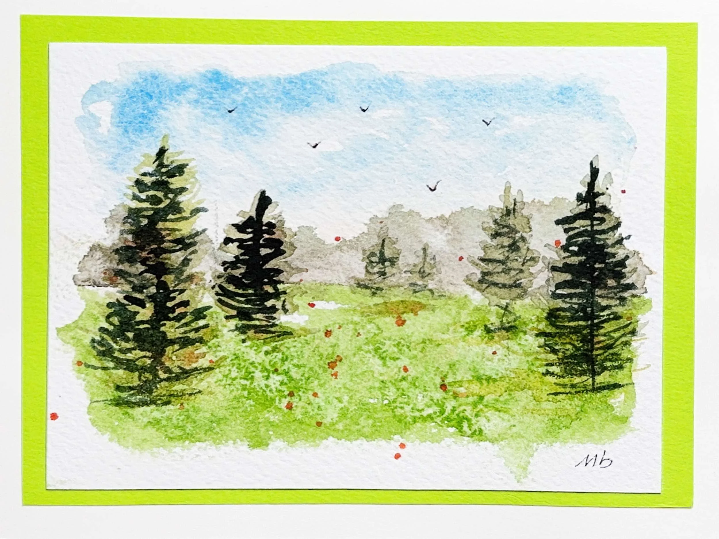 Culture de sapins - format 2