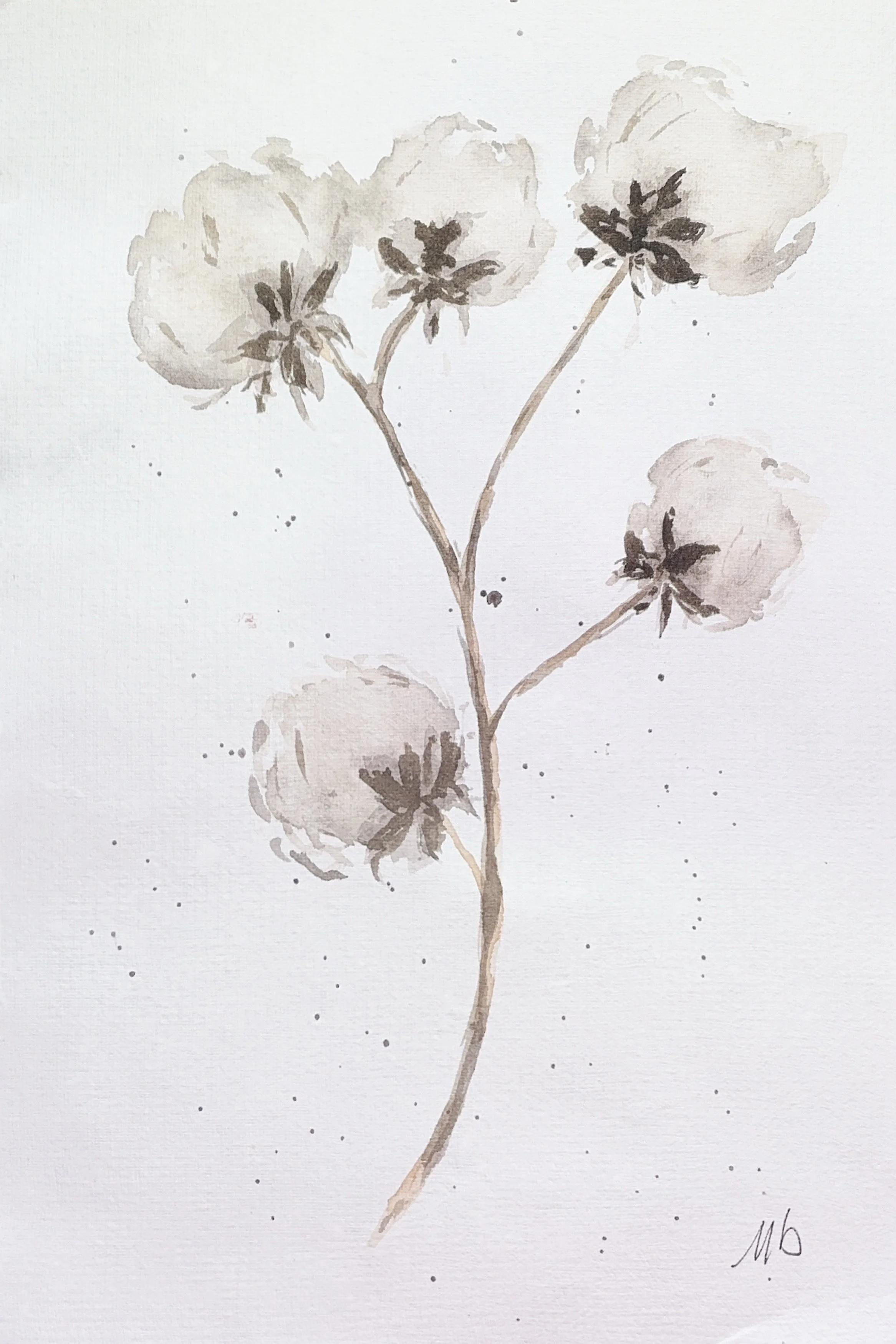 Fleurs de coton - 19 X 29 cm - 55 $