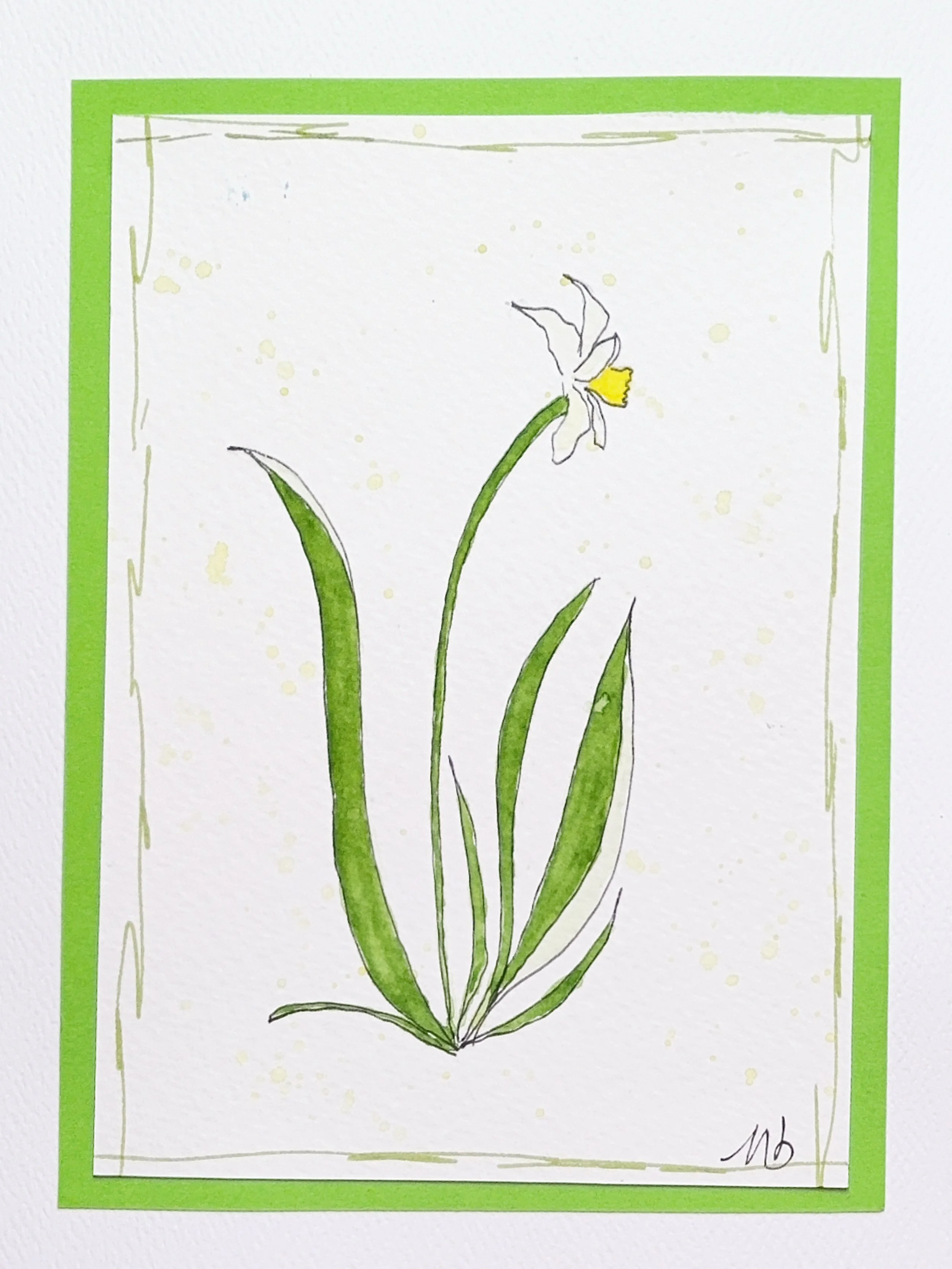 Jonquille blanche - format 1