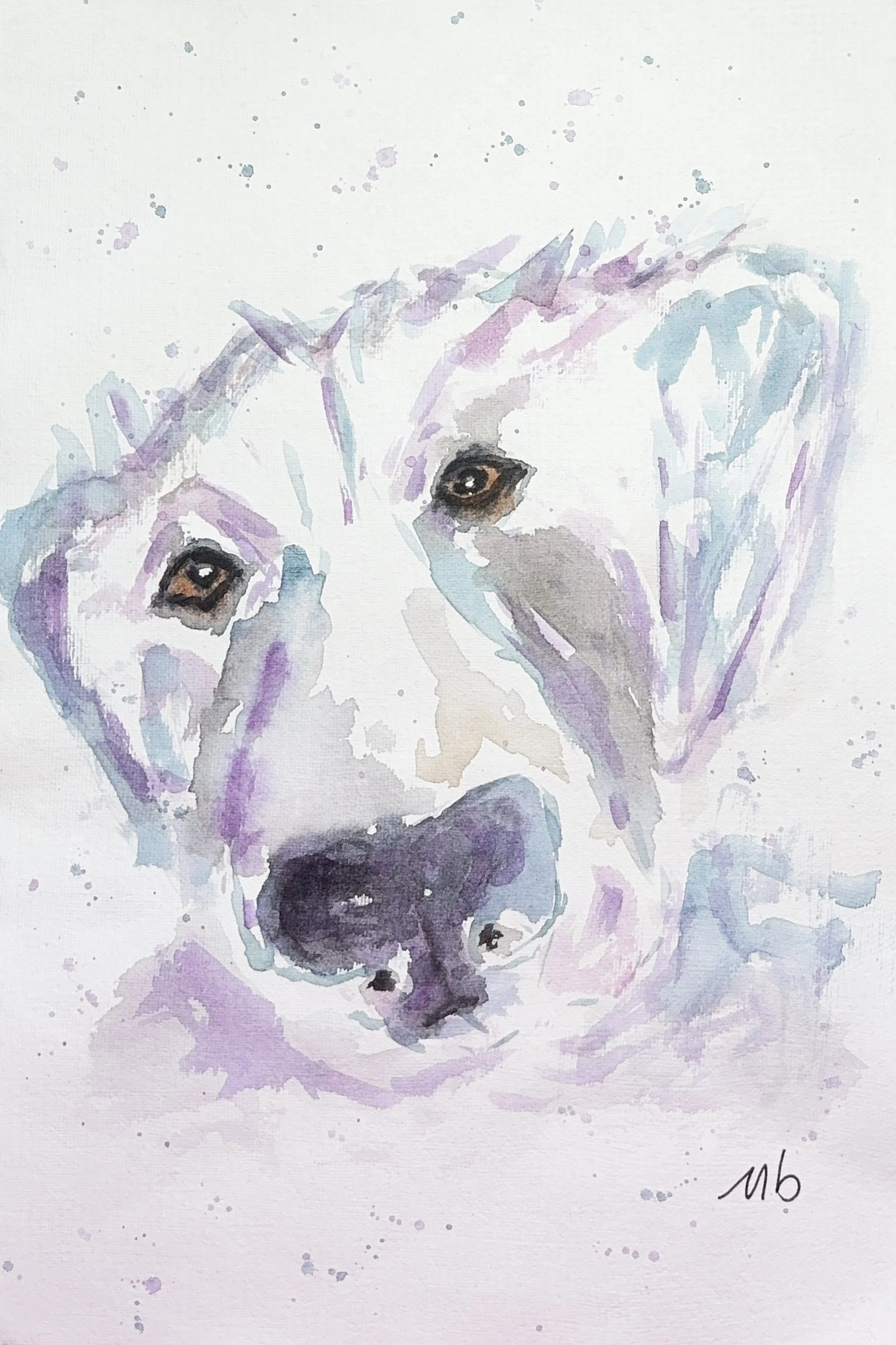 Belle truffe - 19 X 29 cm - 55 $