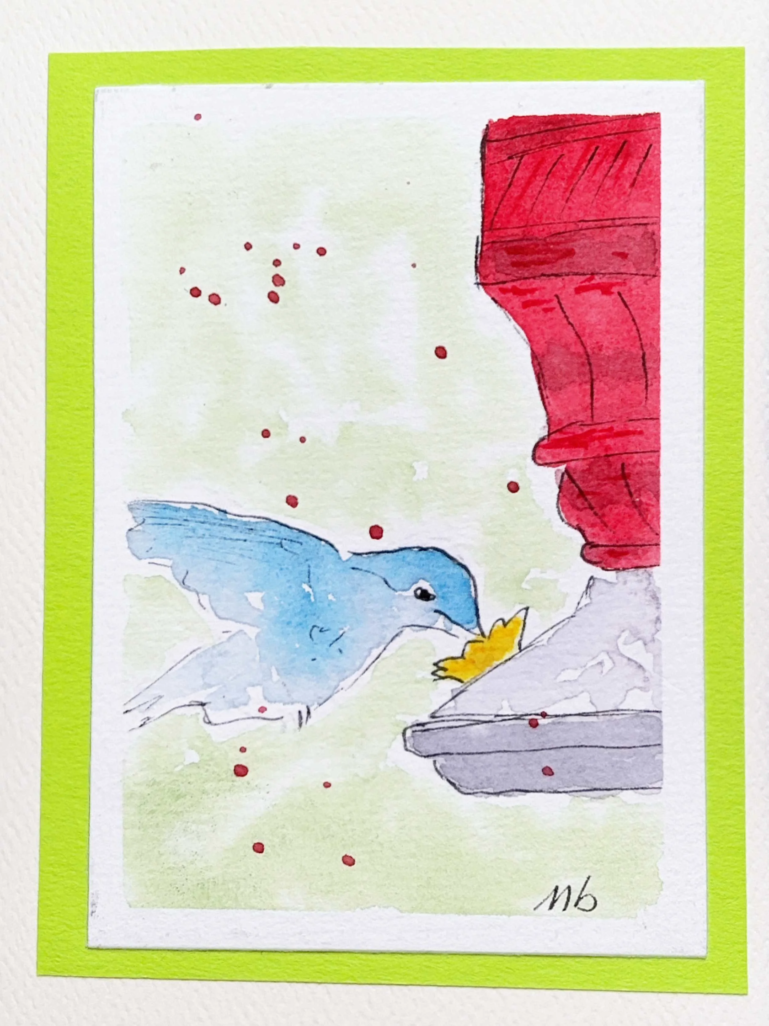 Colibri sur mangeoire - format 3