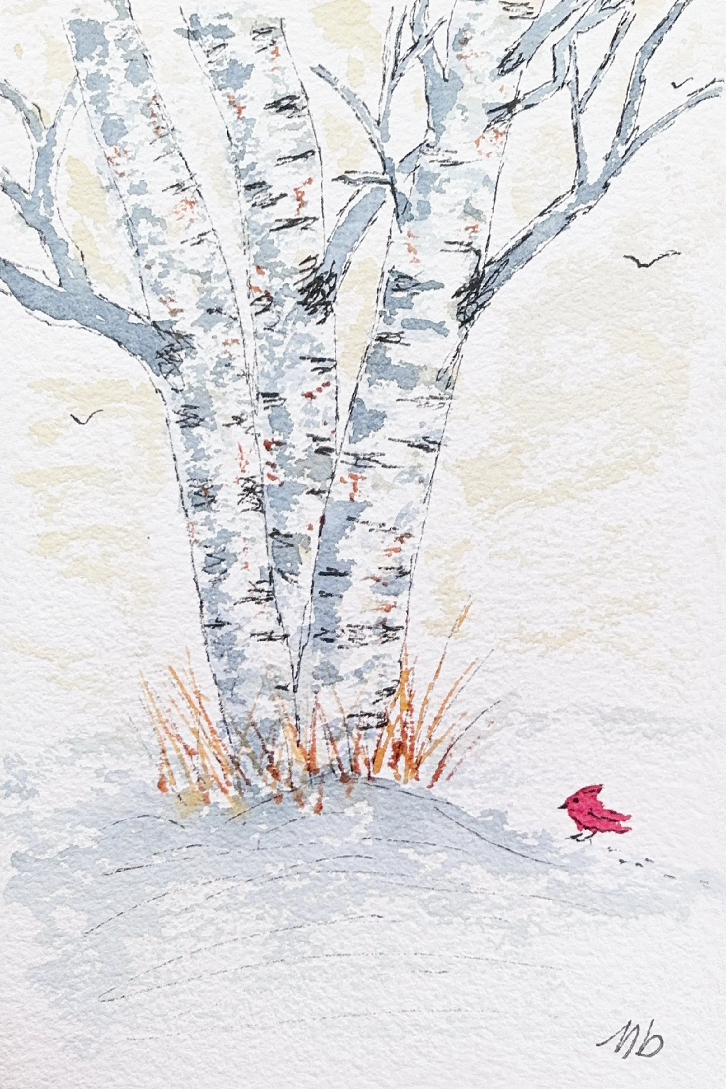 Le cardinal des bouleaux - 12 1/2 X 18 cm - 25 $