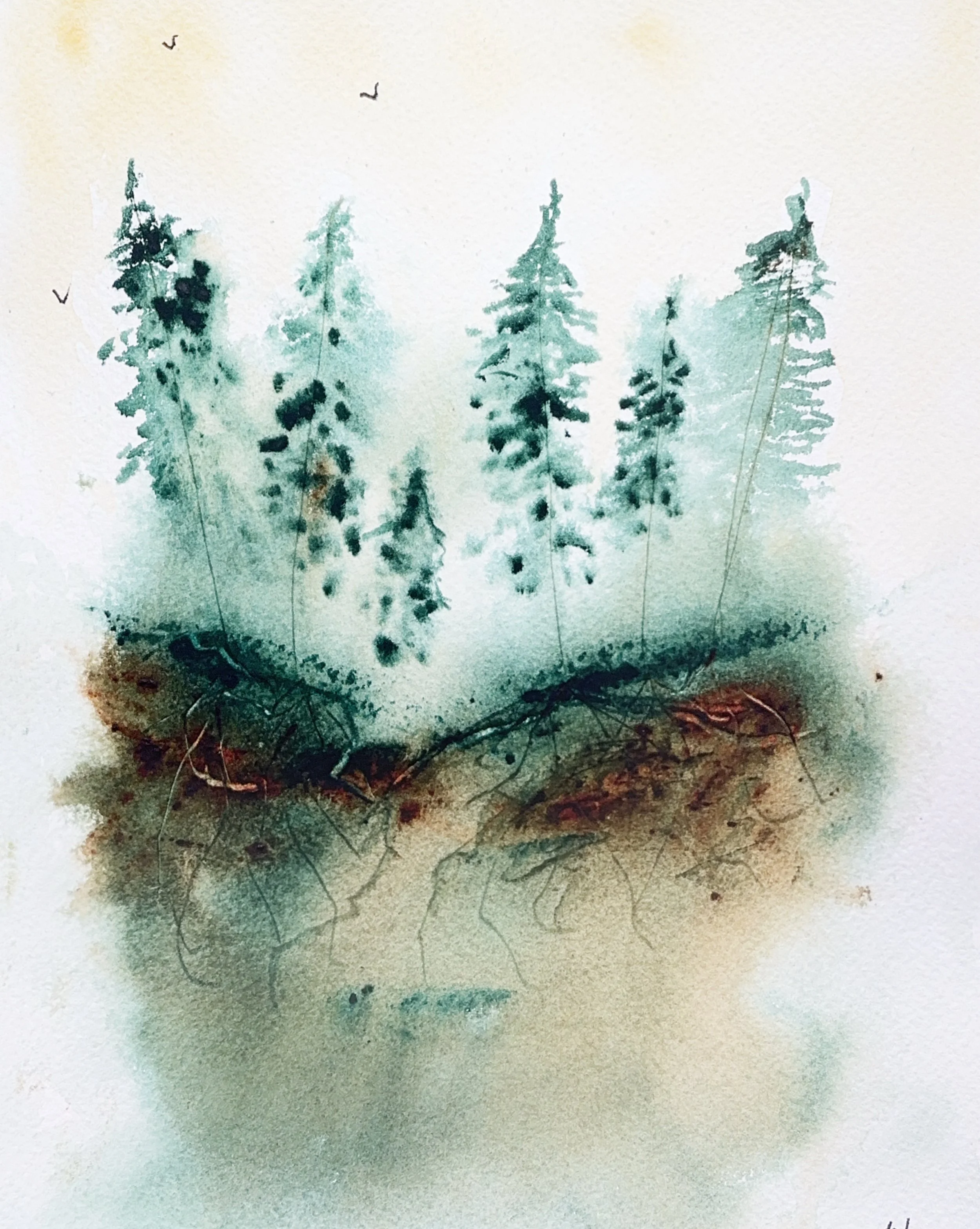 La face cachée de la forêt - 16 X 20 cm - 30 $