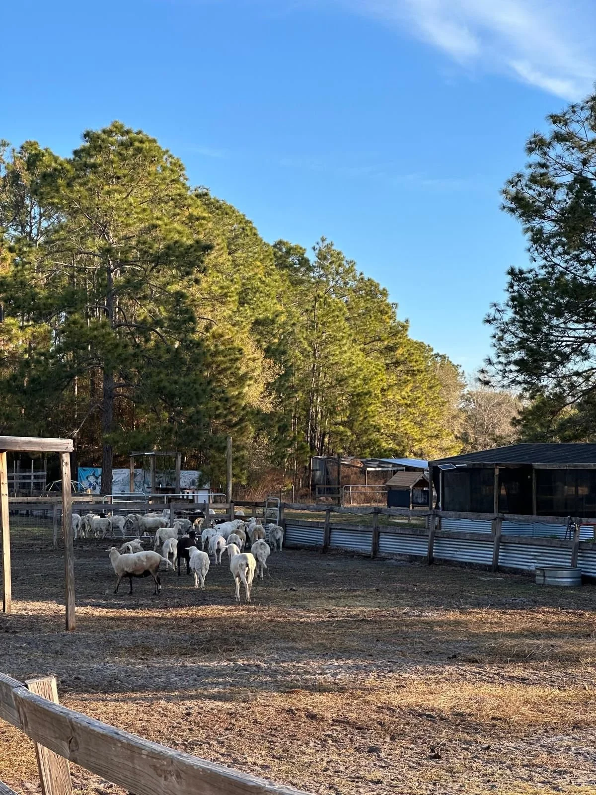 WhatsApp Image 2026-02-26 at 11.49.06 AM(3).jpeg