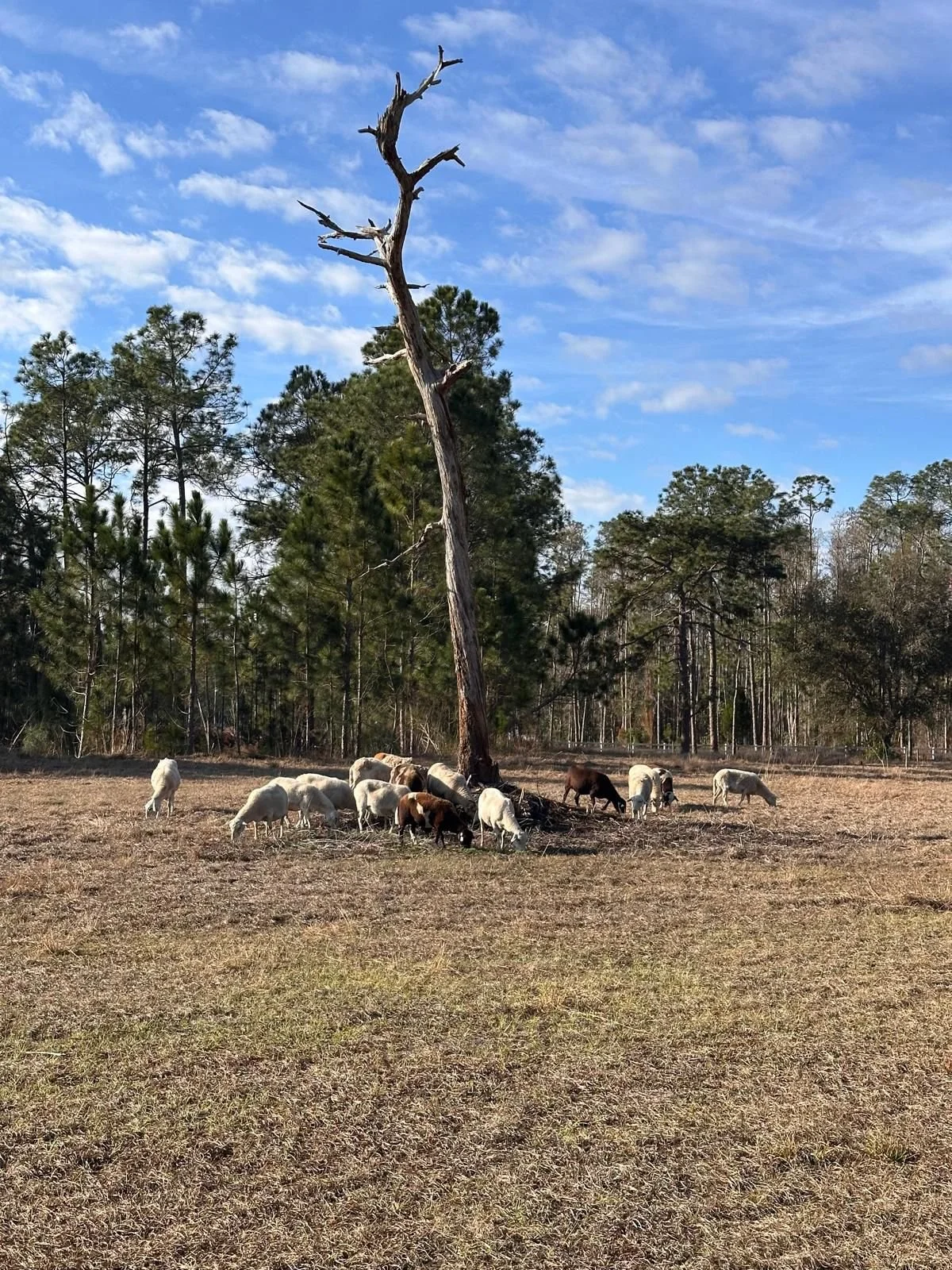 WhatsApp Image 2026-02-26 at 11.49.06 AM(2).jpeg