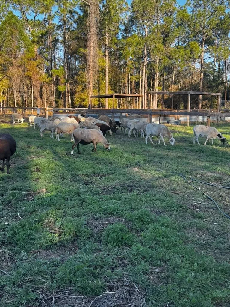 WhatsApp Image 2026-02-26 at 11.49.07 AM(7).jpeg