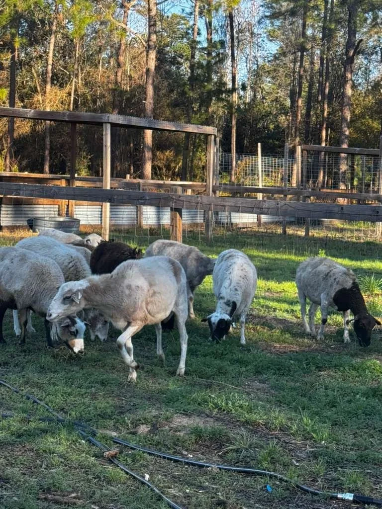 WhatsApp Image 2026-02-26 at 11.49.07 AM(6).jpeg