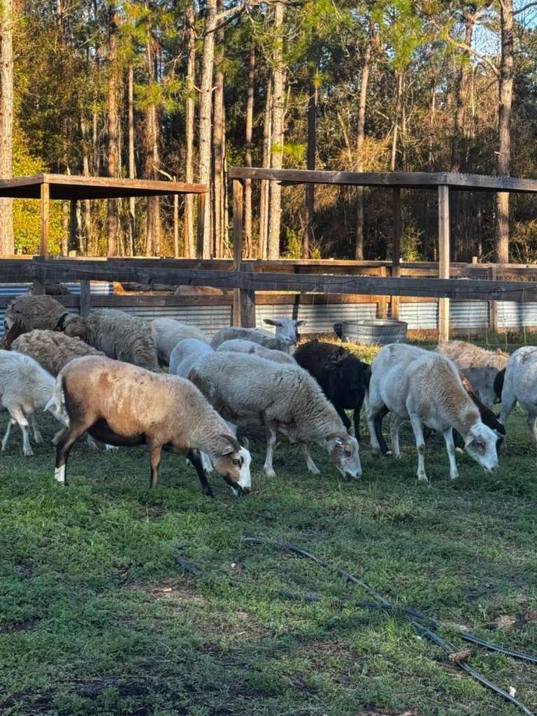 WhatsApp Image 2026-02-26 at 11.49.07 AM(5).jpeg