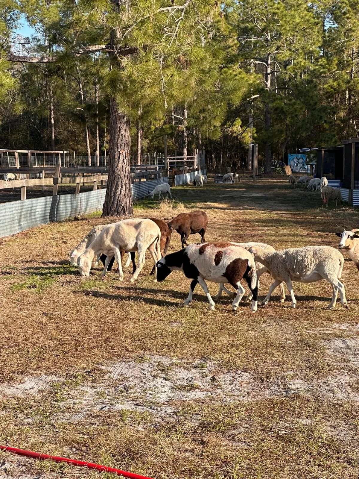 WhatsApp Image 2026-02-26 at 11.49.06 AM(1).jpeg