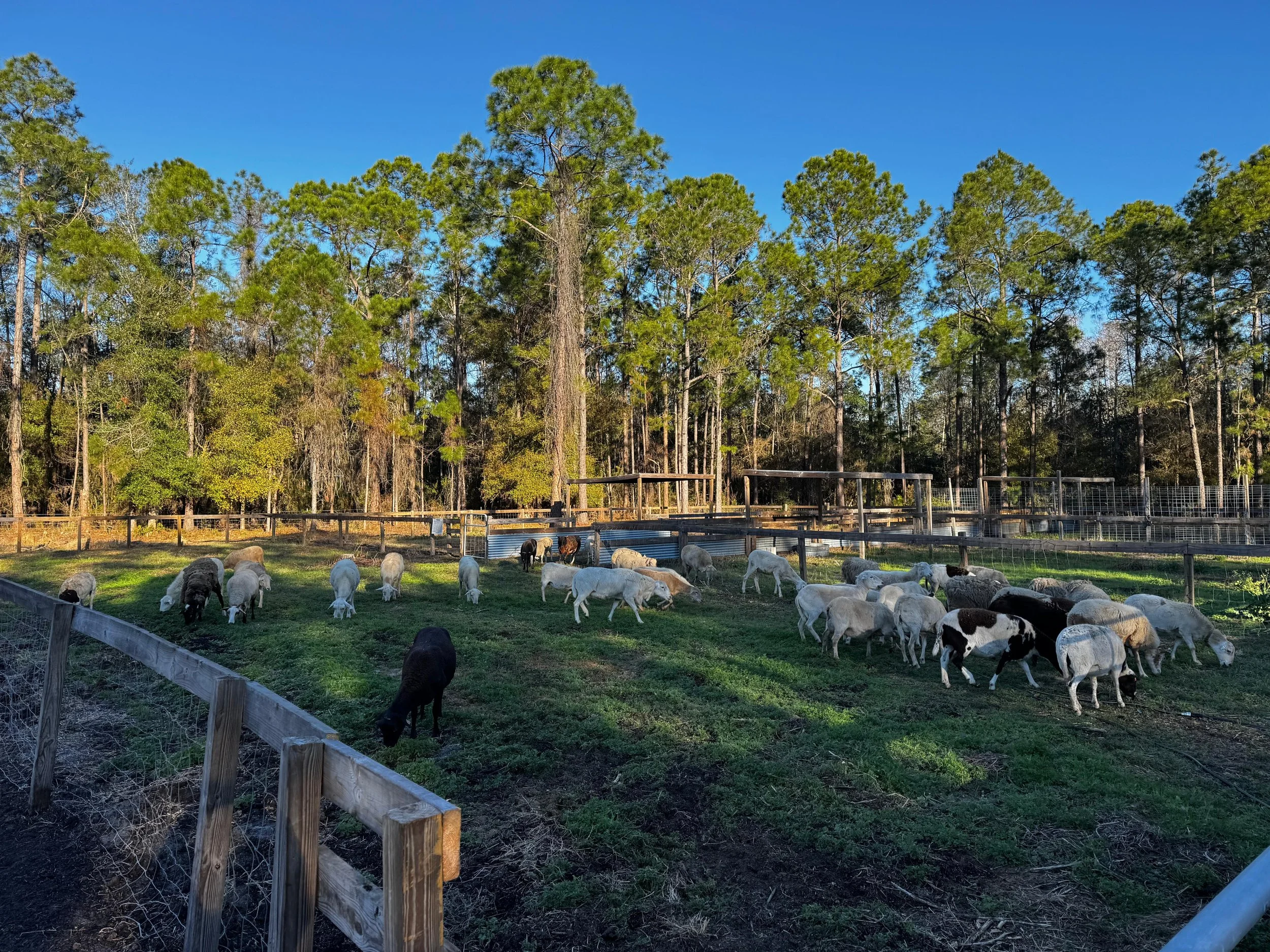 WhatsApp Image 2026-02-26 at 11.43.53 AM(1).jpeg