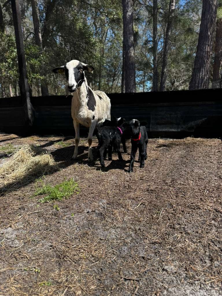 WhatsApp Image 2026-02-26 at 11.49.07 AM(3).jpeg