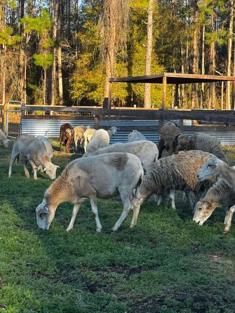 WhatsApp Image 2026-02-26 at 11.49.07 AM(4).jpeg