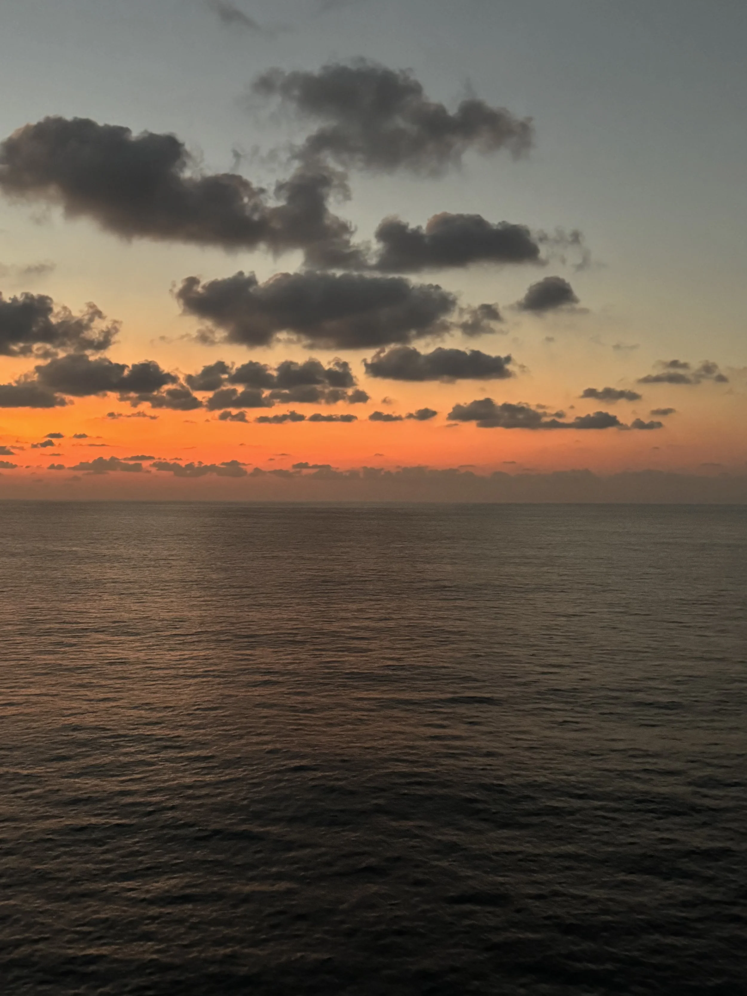 IMG_1205.jpeg