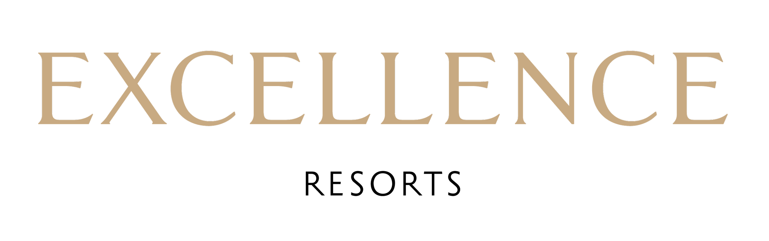 The word 'EXCELLENCE' written in large, capital beige letters on a black background.