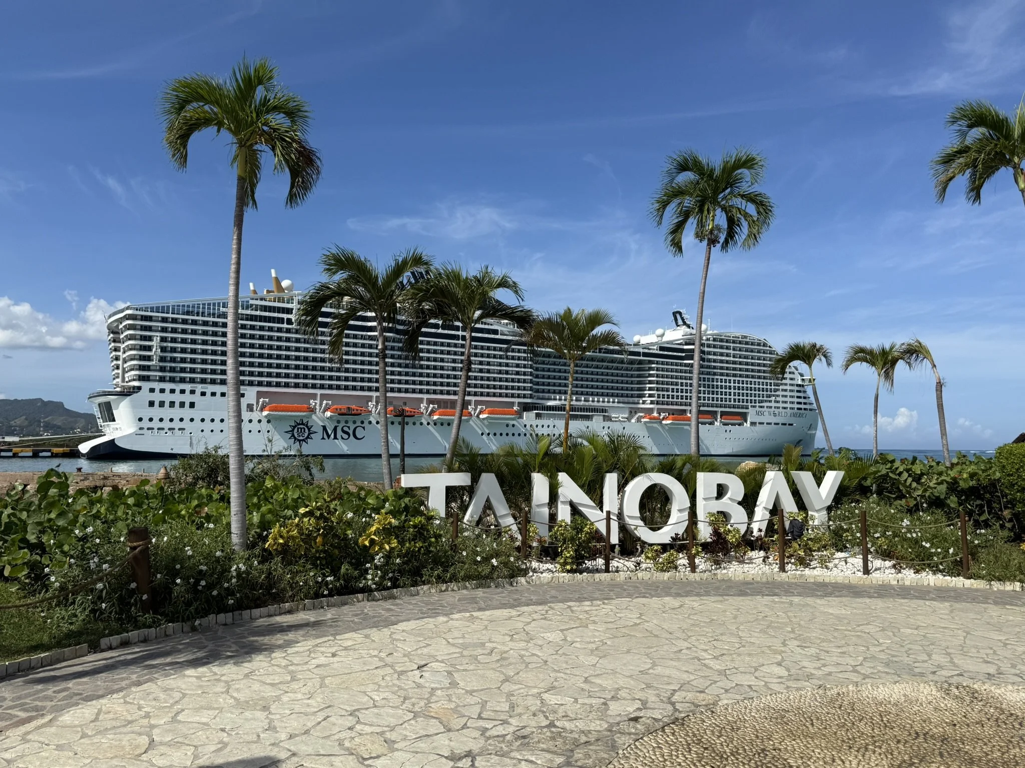 Large cruise ship docked at a port with numerous palm trees and greenery in the foreground. A sign reads 'Tainobay' in front of the plants.
