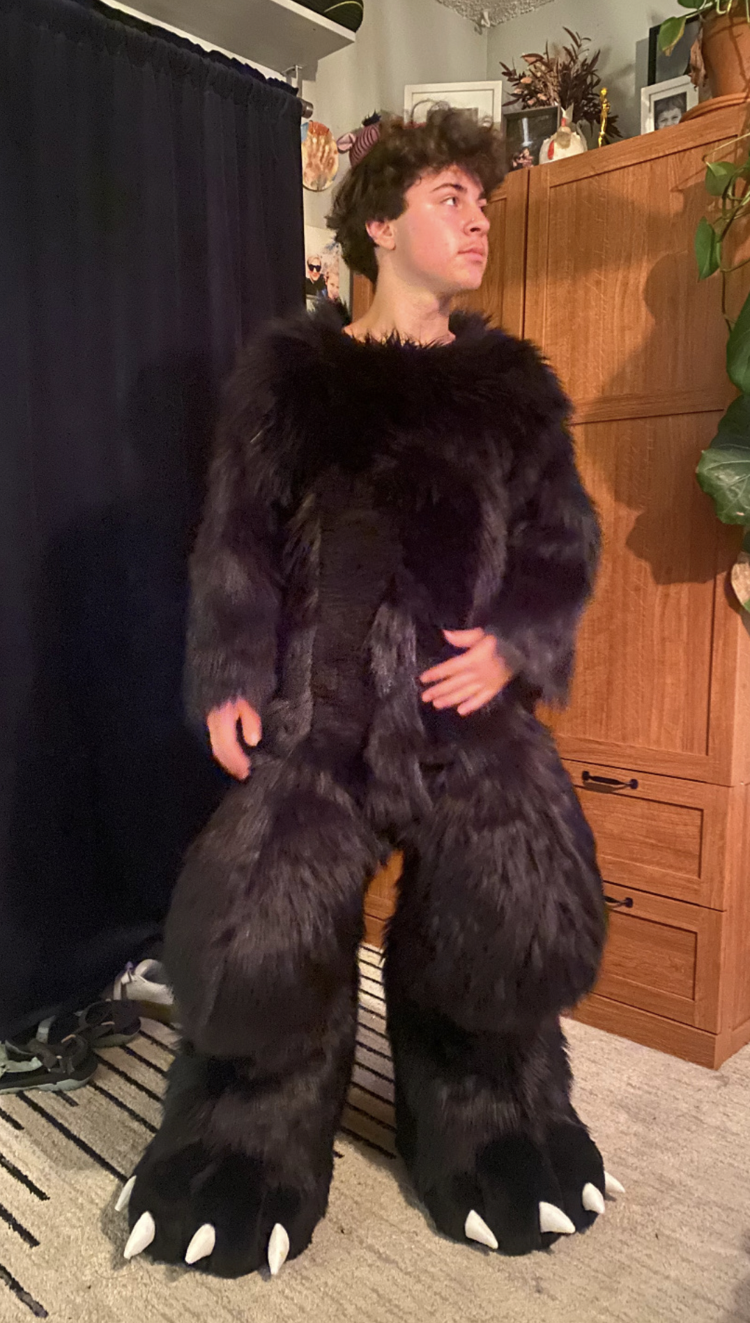 Person wearing a large, dark, furry dinosaur costume with big claws on the hands and feet, standing indoors near a black curtain and a wooden cabinet decorated with photos and plants.