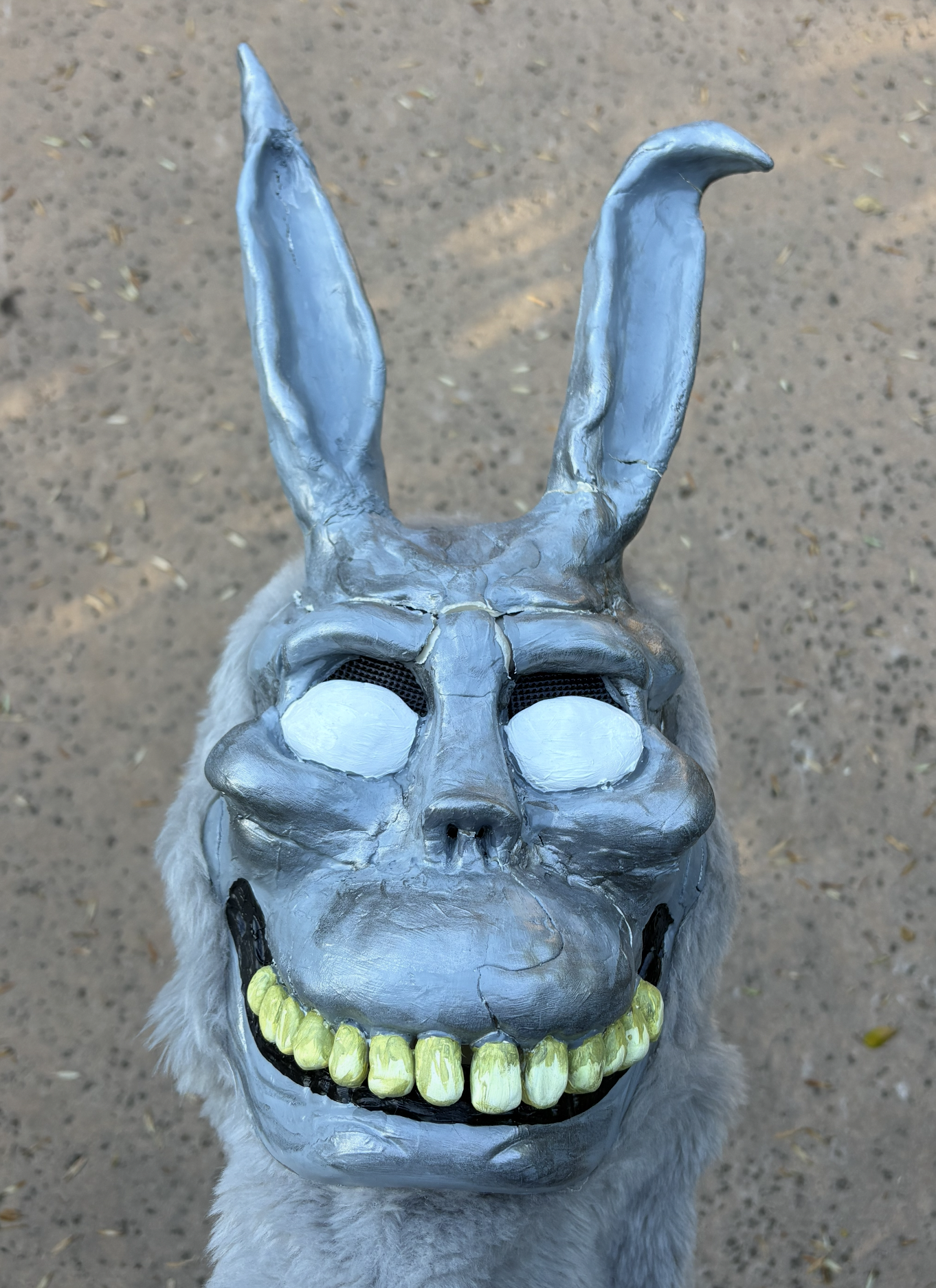 A dog wearing a silver skull mask with yellow teeth and a black nose, displayed from above against a dirt ground with scattered leaves.