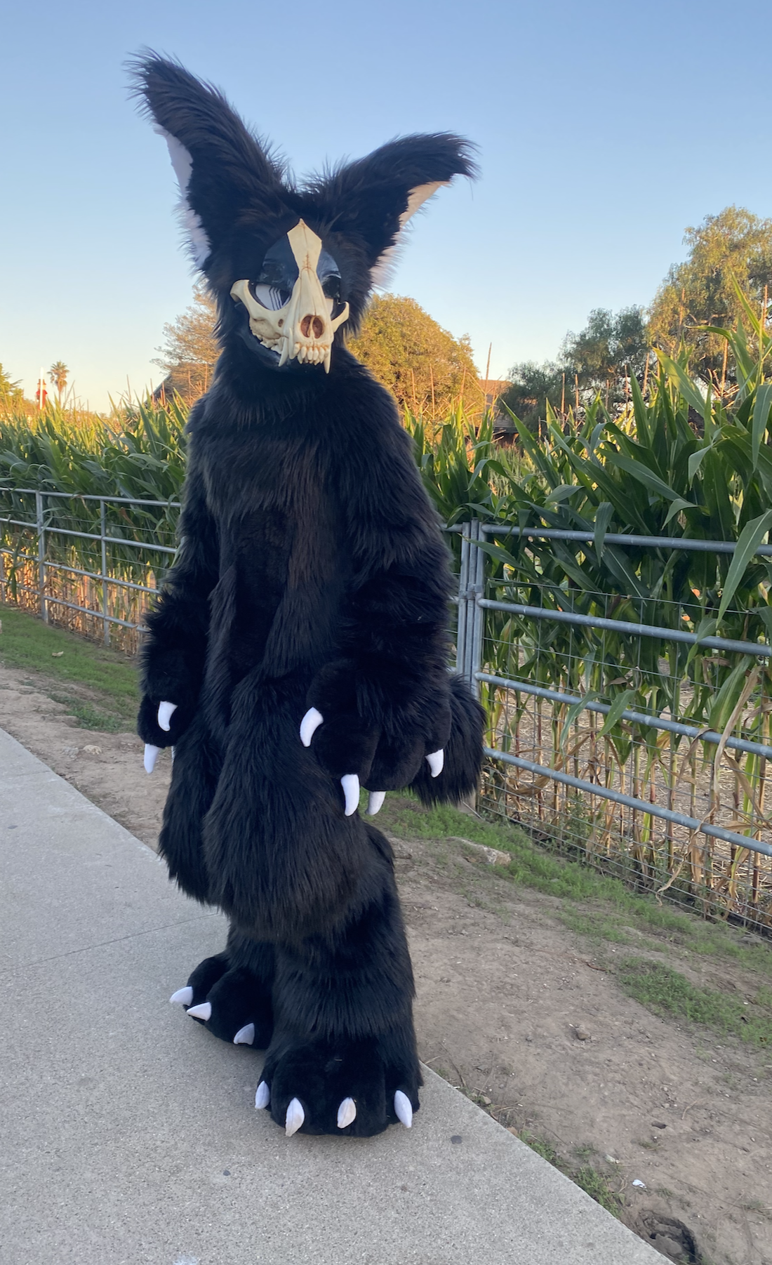 A person in a black furry monster costume with large ears, claws, and a skull mask standing outdoors near a cornfield.