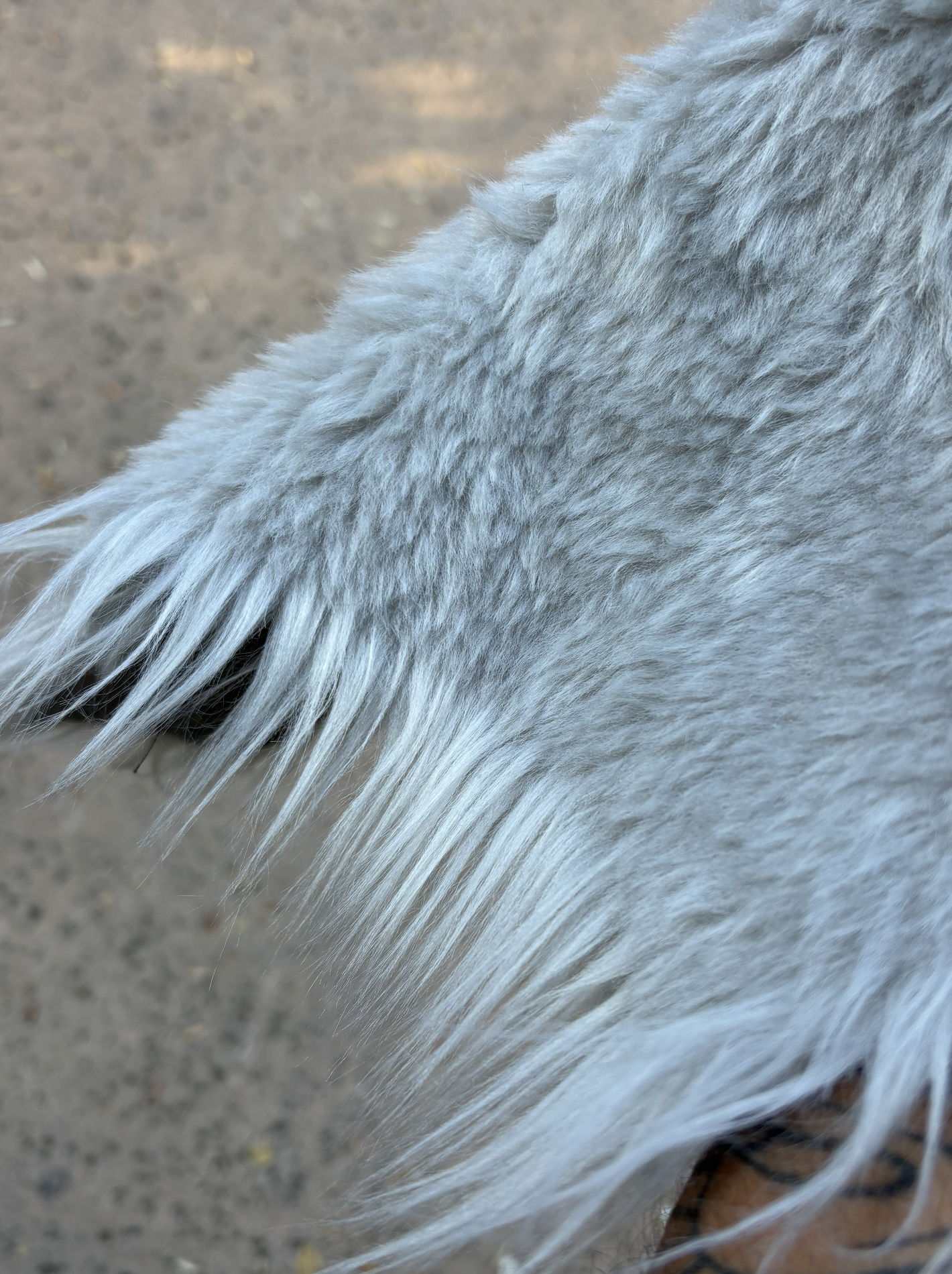 Close-up of a horse's mane with sandy ground in the background.