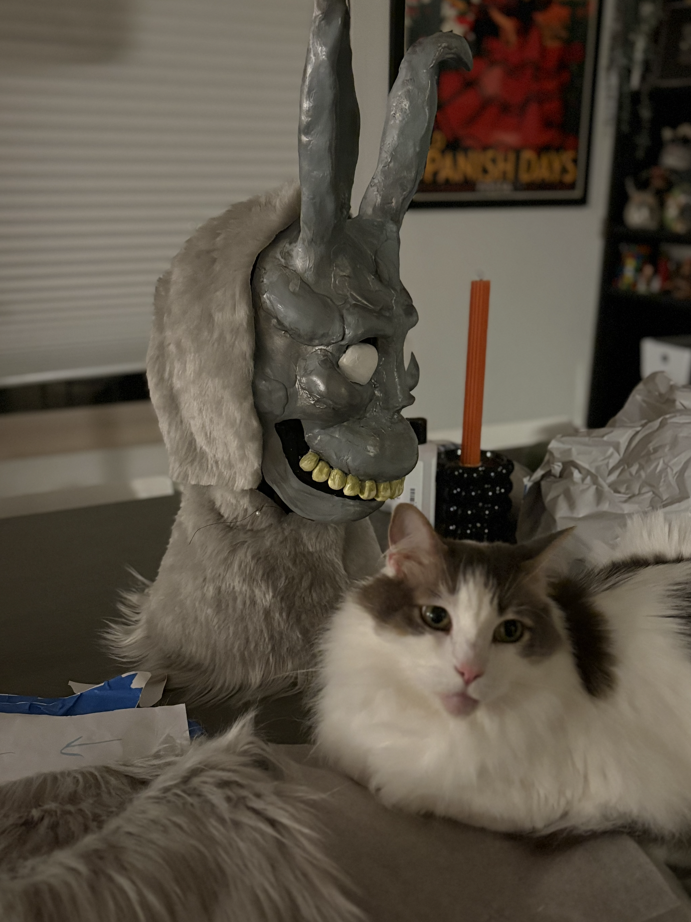 A gray cat with a mask of a creepy face with horns and teeth, and a fluffy tail, lying next to a black and white cat. The background shows a poster and a shelf with toys or figures.