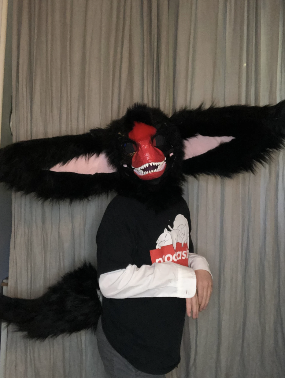 Person wearing a black and white shirt and a black furry mask with a large red nose, wide teeth, and big black wings, standing in front of striped curtains.