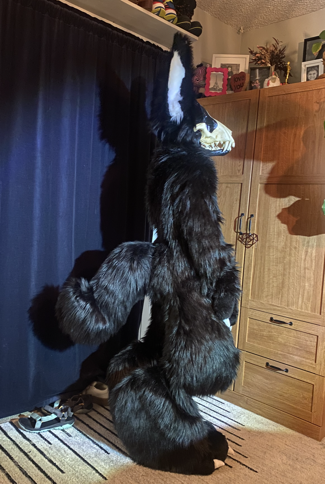 A person dressed in a realistic wolf costume standing indoors near a wooden wardrobe, with framed photos and decorations on top, and sneakers on the floor nearby.