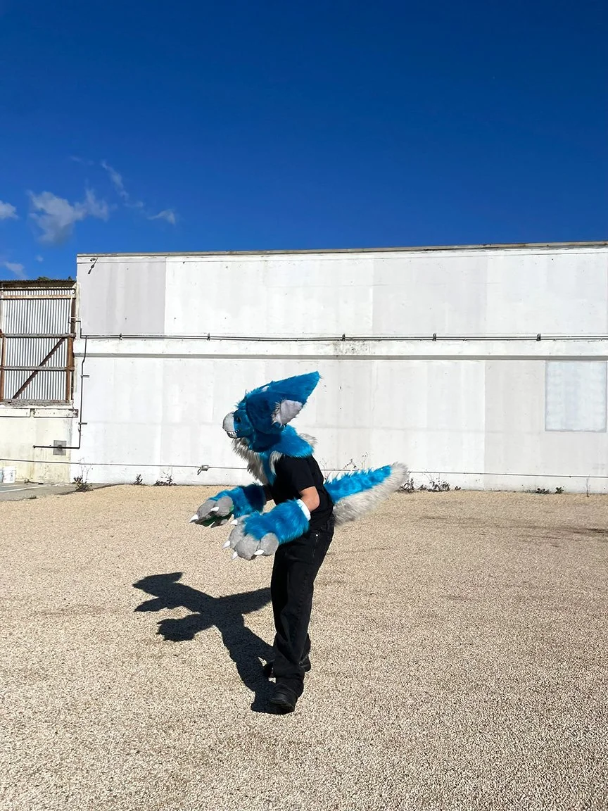 Person in a blue furry animal costume with large ears and tail, standing outdoors on gravel ground, against a white wall and blue sky.