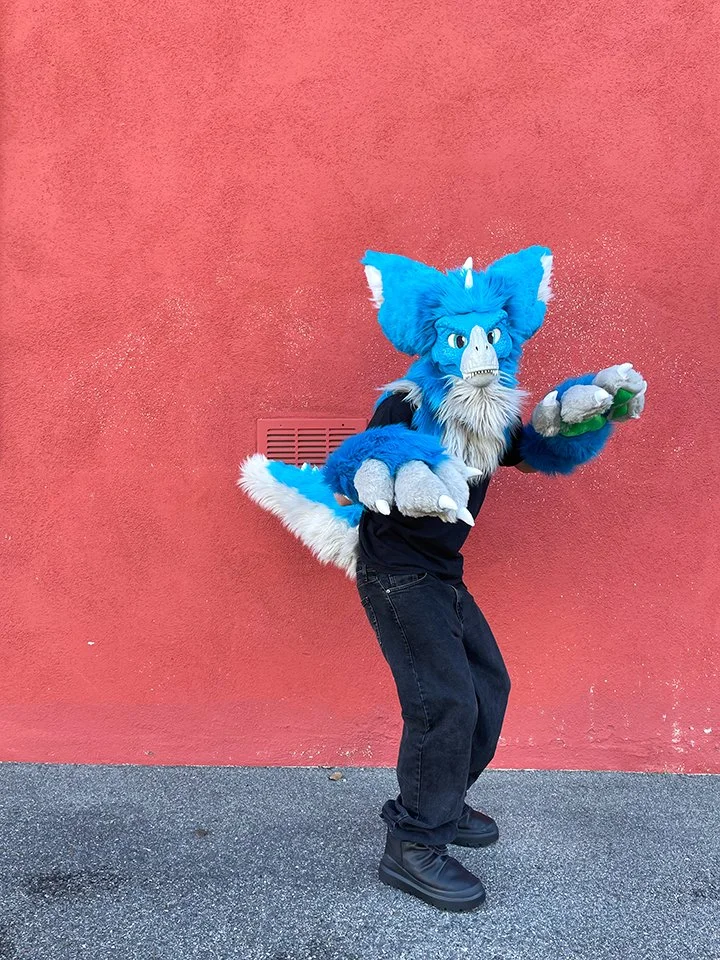 Fully designed costume with three designed pieces, head, claws, and tail. 