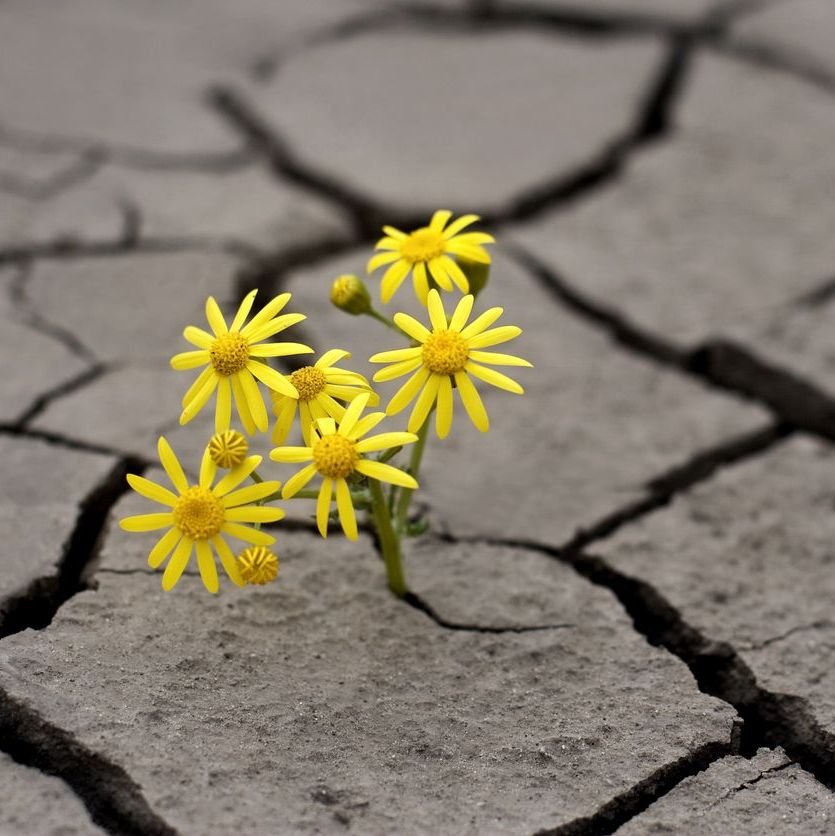 Releasing the impact of war