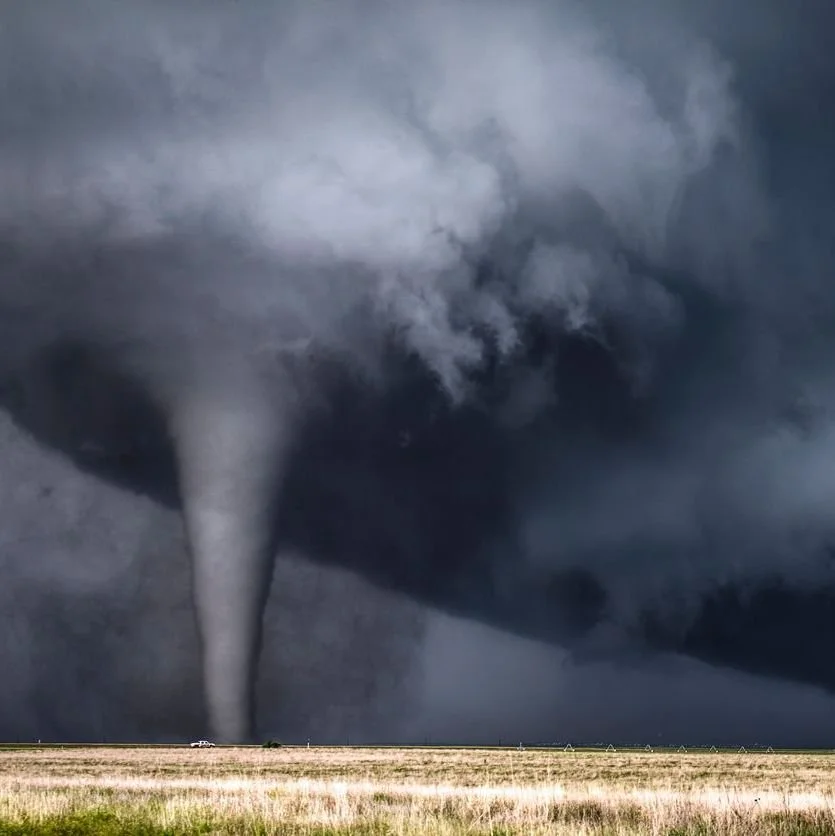 Natural Disasters, Trauma, and Family History (November 6, 2027)