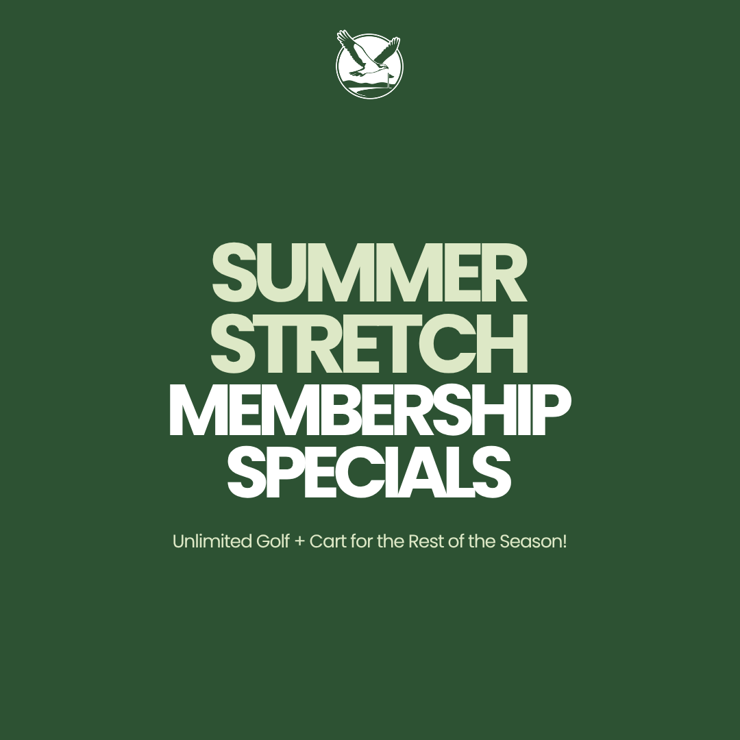 Summer Stretch online shop.png