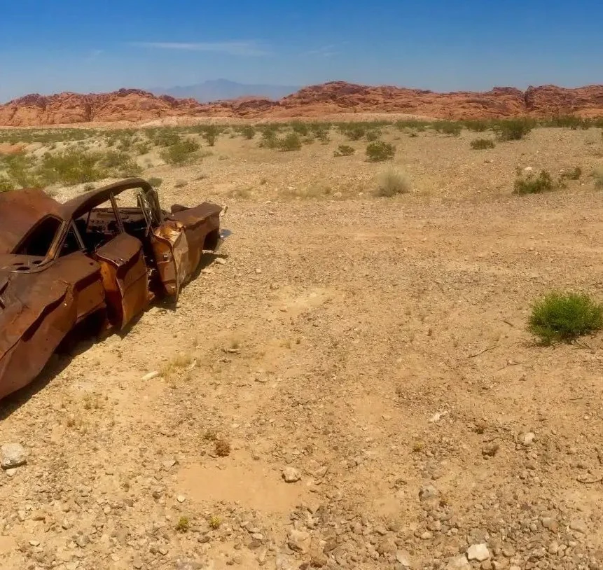 The Desert Survival Guide: Protecting Your Instrument