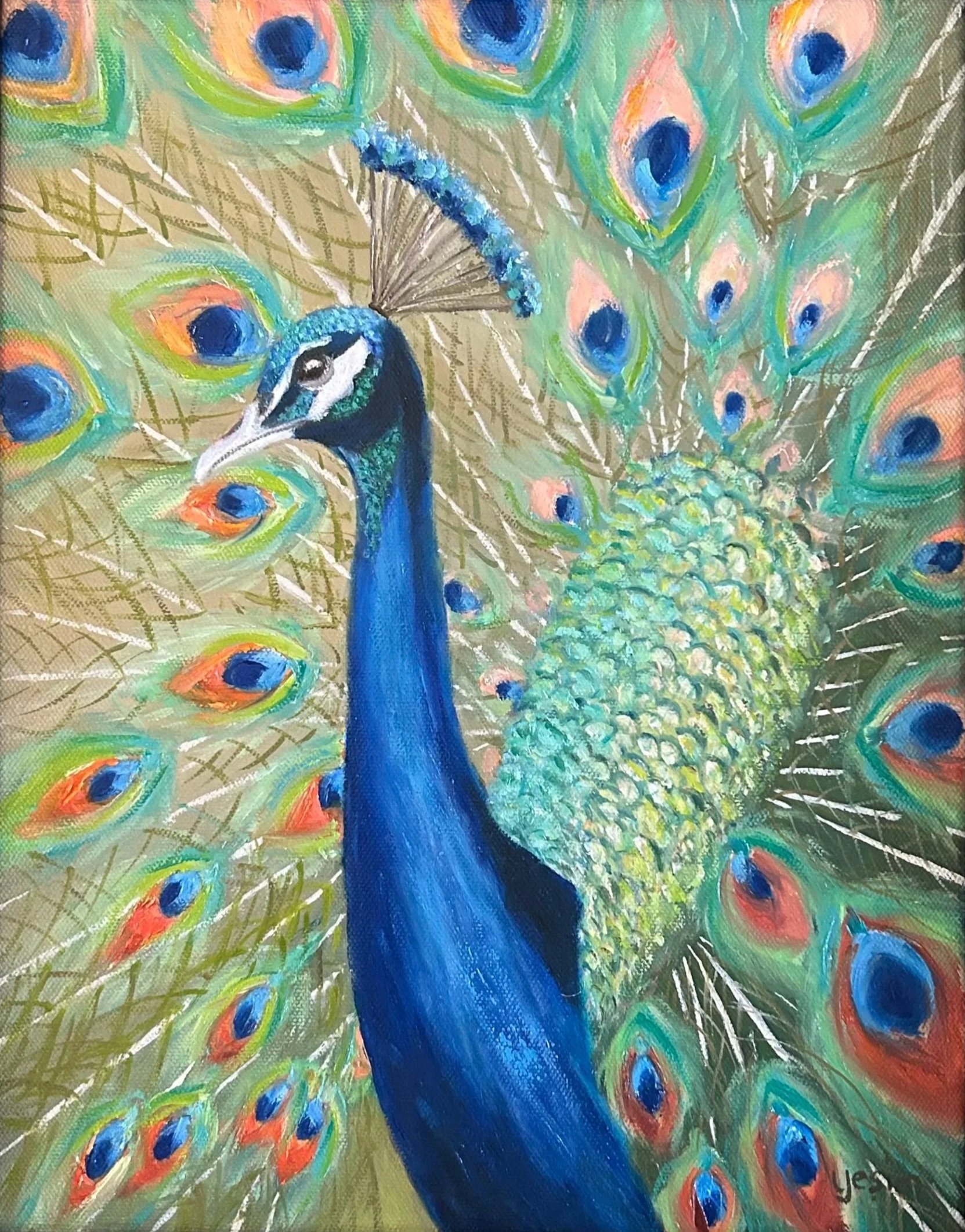 Display of Glory, Peacock 