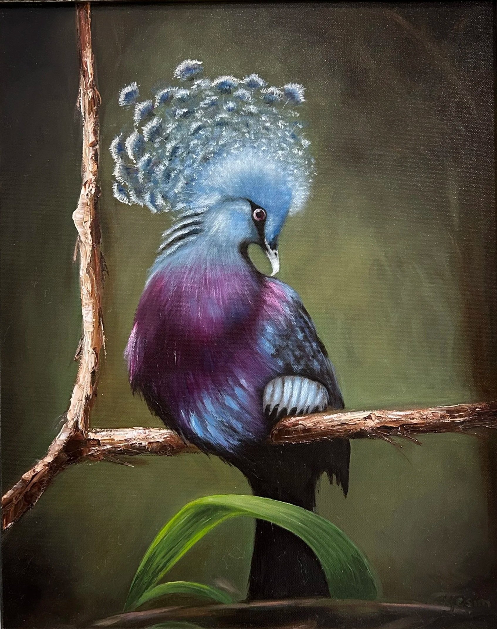 Jewel of the Branch, Crowned Pigeon