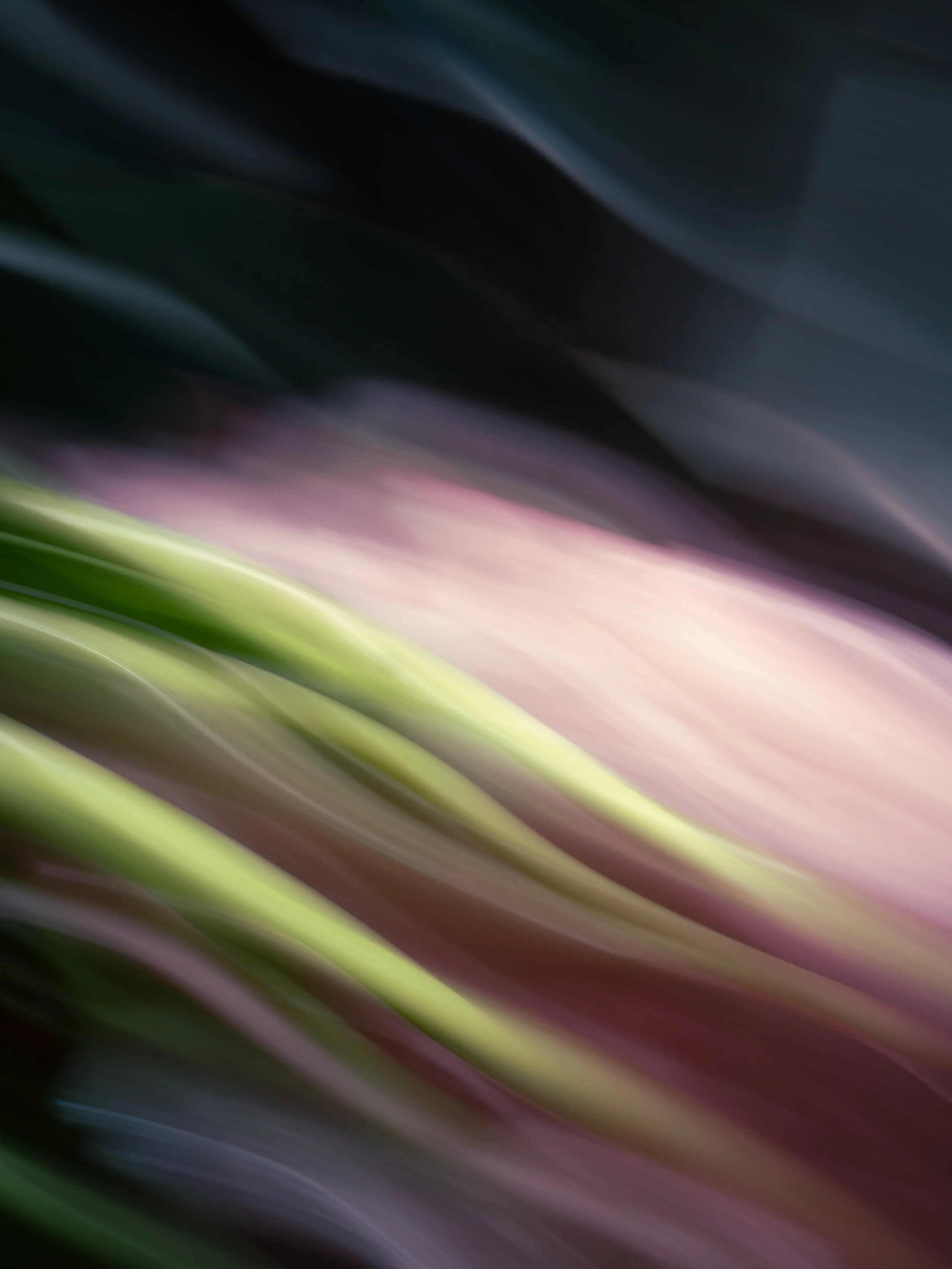 Stream of Consciousness, 2022