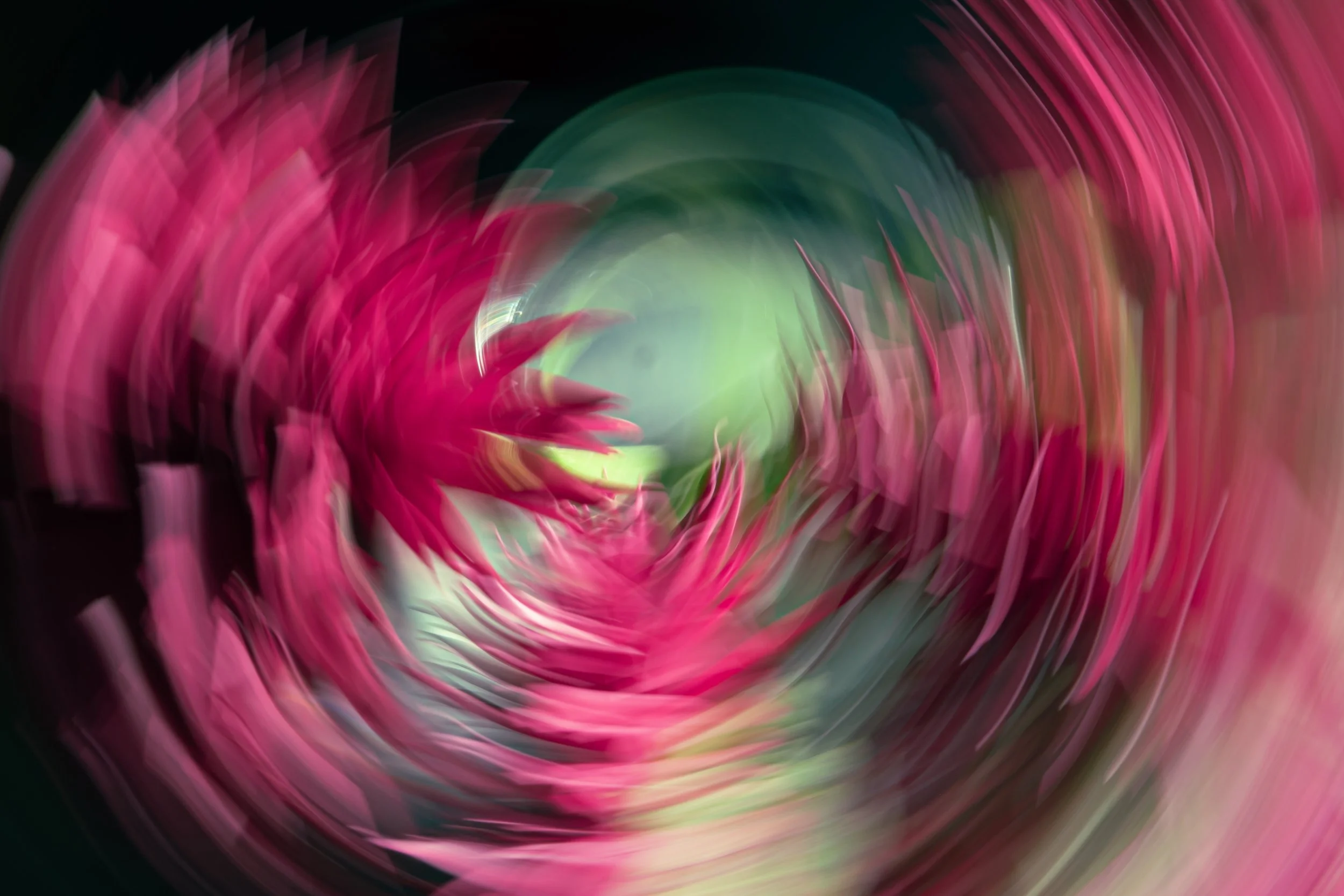 Maple Leaves Dancing in the Wind, 2021